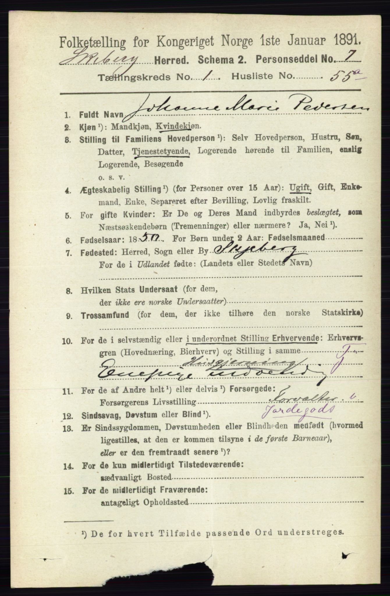 RA, 1891 census for 0115 Skjeberg, 1891, p. 806