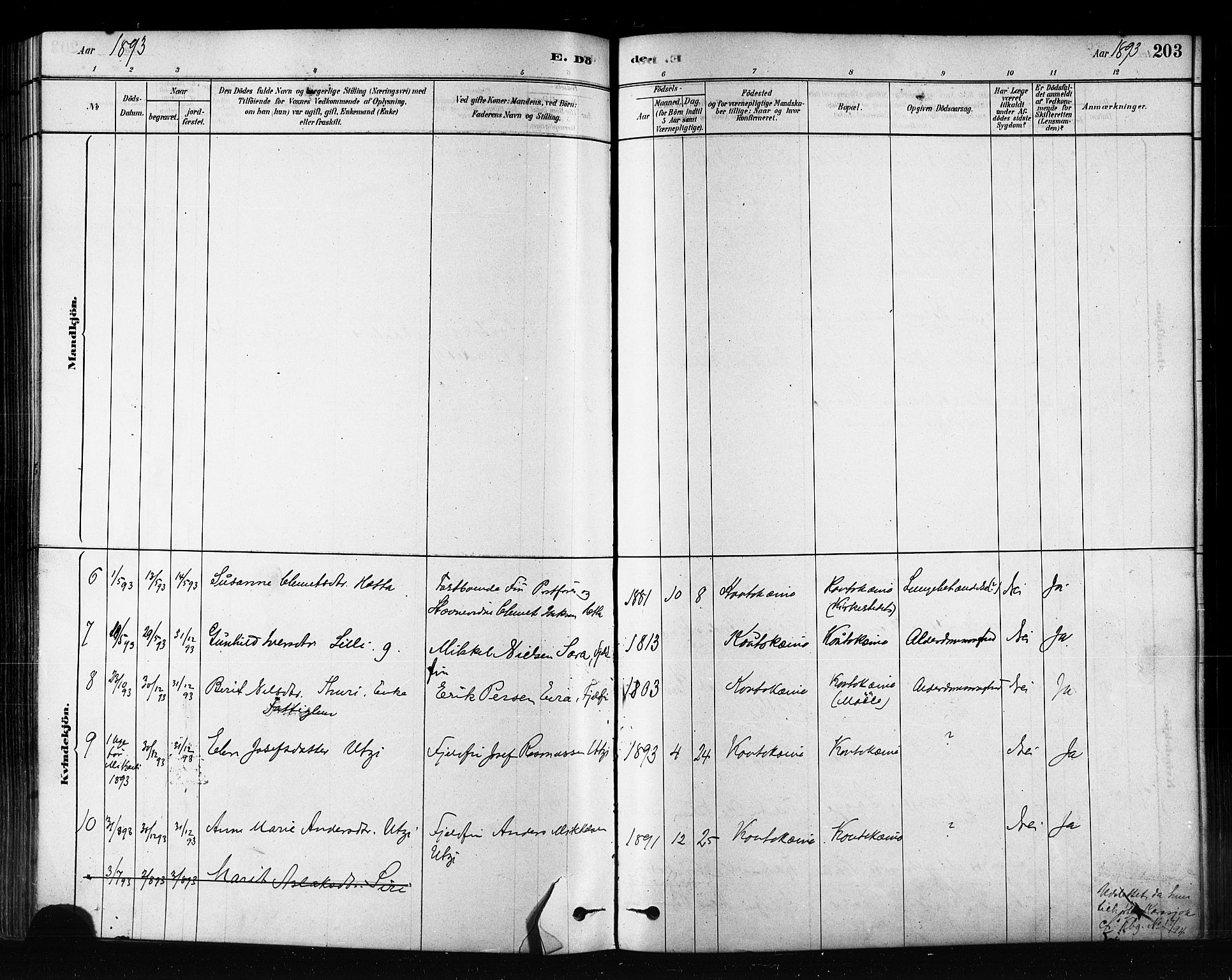 Kautokeino sokneprestembete, AV/SATØ-S-1340/H/Ha/L0004.kirke: Parish register (official) no. 4, 1877-1896, p. 203