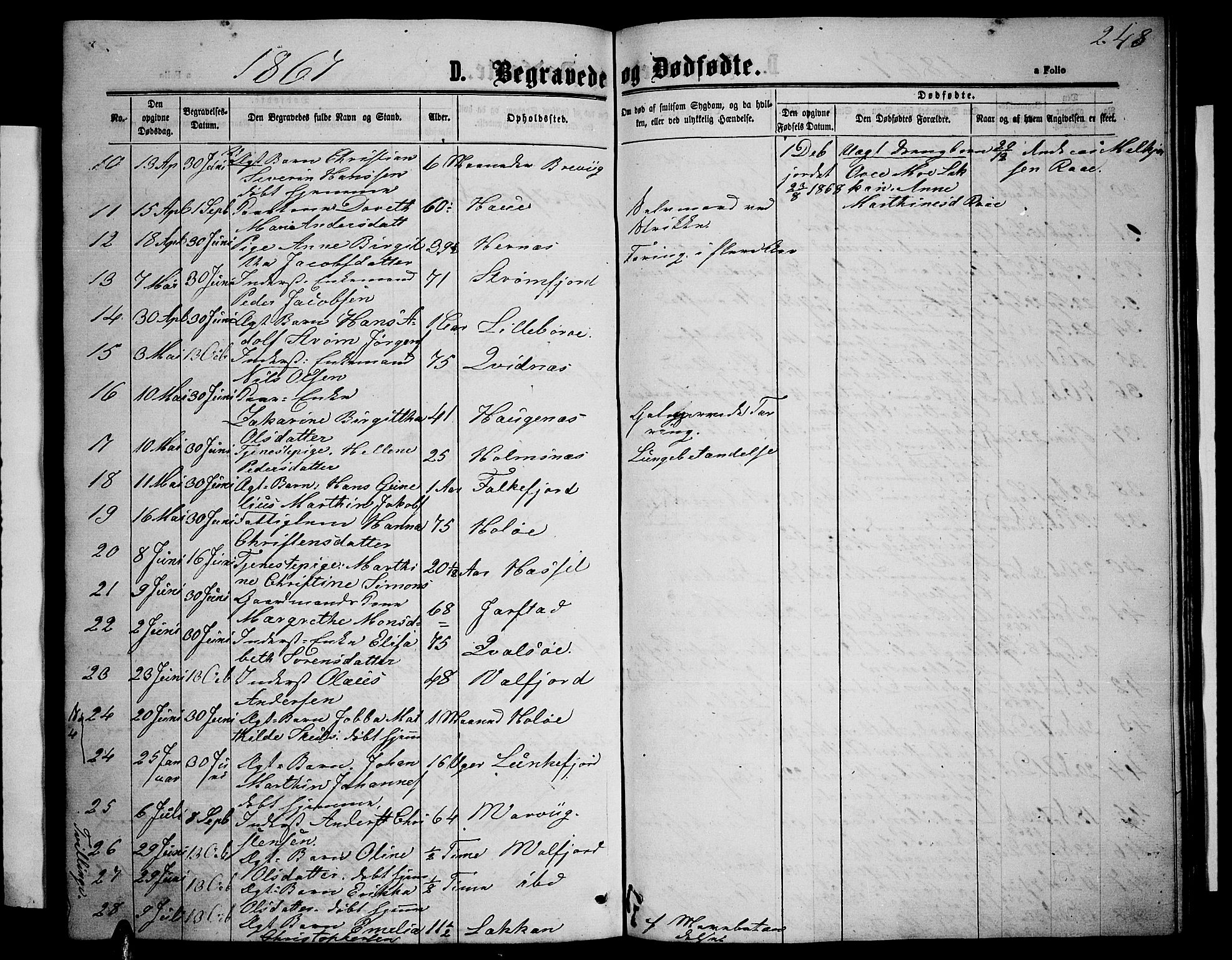 Ministerialprotokoller, klokkerbøker og fødselsregistre - Nordland, AV/SAT-A-1459/888/L1266: Parish register (copy) no. 888C04, 1864-1877, p. 248