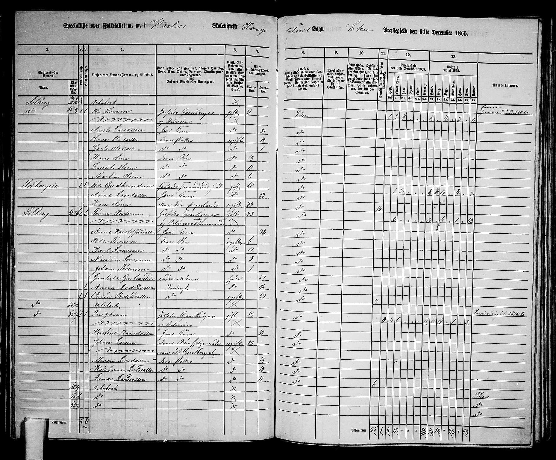 RA, 1865 census for Eiker, 1865, p. 143