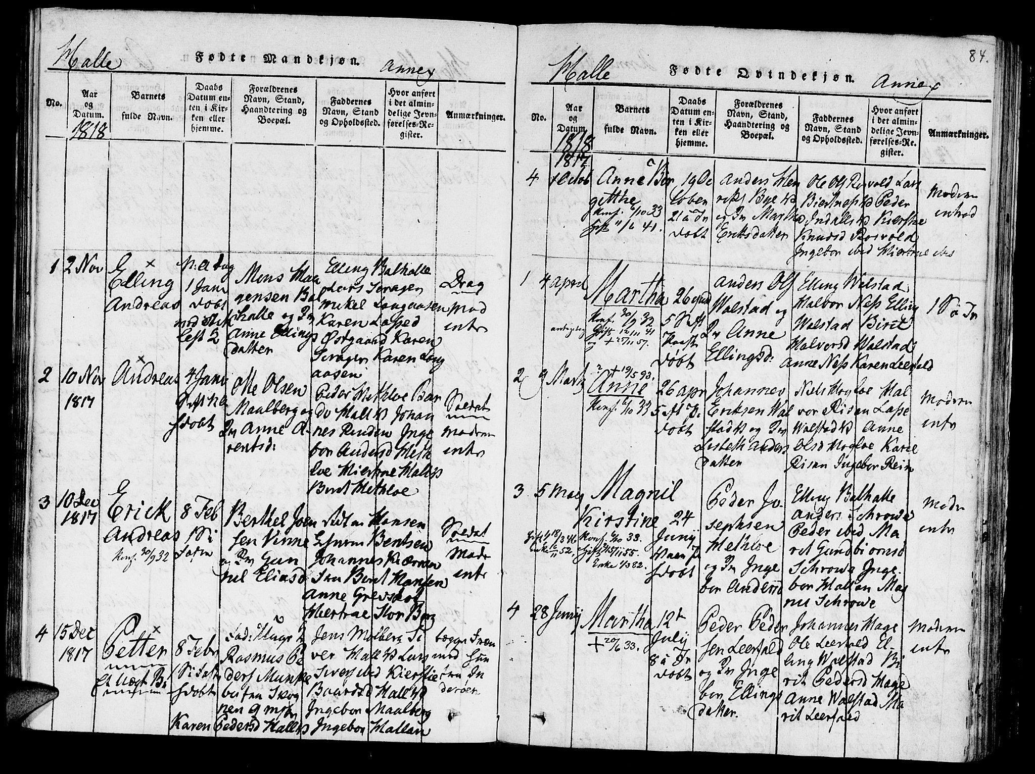 Ministerialprotokoller, klokkerbøker og fødselsregistre - Nord-Trøndelag, SAT/A-1458/723/L0234: Parish register (official) no. 723A05 /3, 1817-1821, p. 84