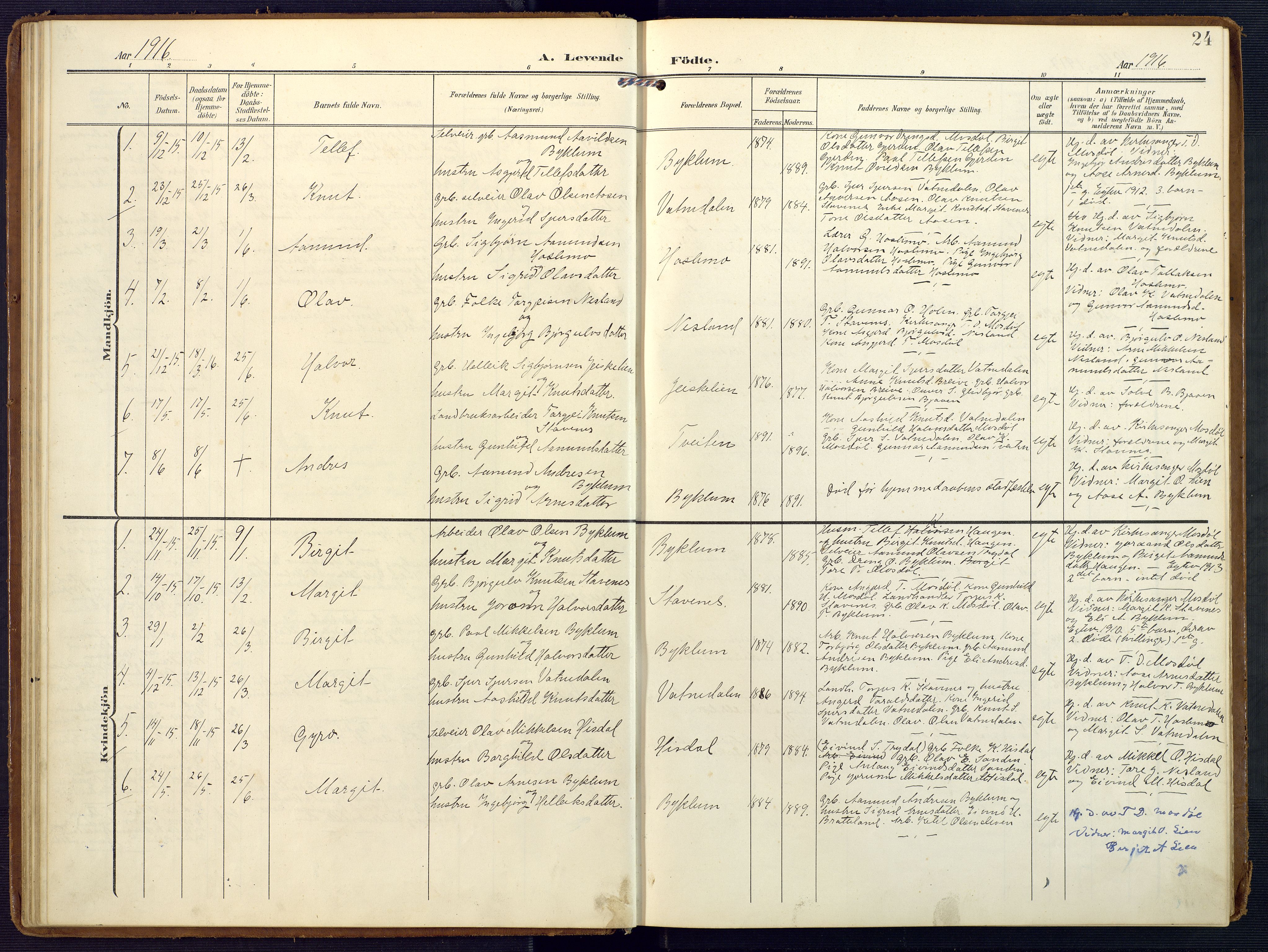 Valle sokneprestkontor, SAK/1111-0044/F/Fa/Faa/L0002: Parish register (official) no. A 2, 1907-1919, p. 24