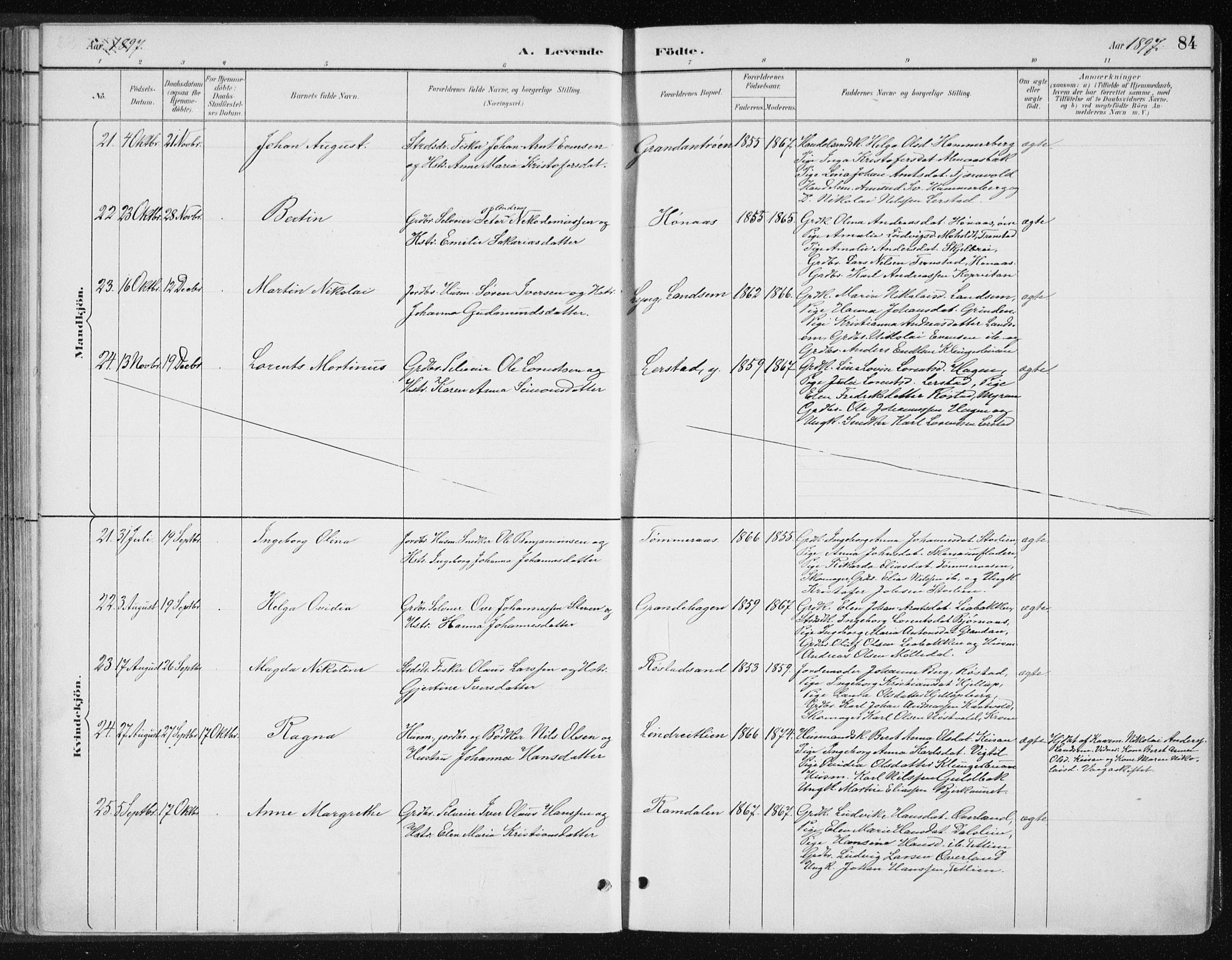 Ministerialprotokoller, klokkerbøker og fødselsregistre - Nord-Trøndelag, SAT/A-1458/701/L0010: Parish register (official) no. 701A10, 1883-1899, p. 84