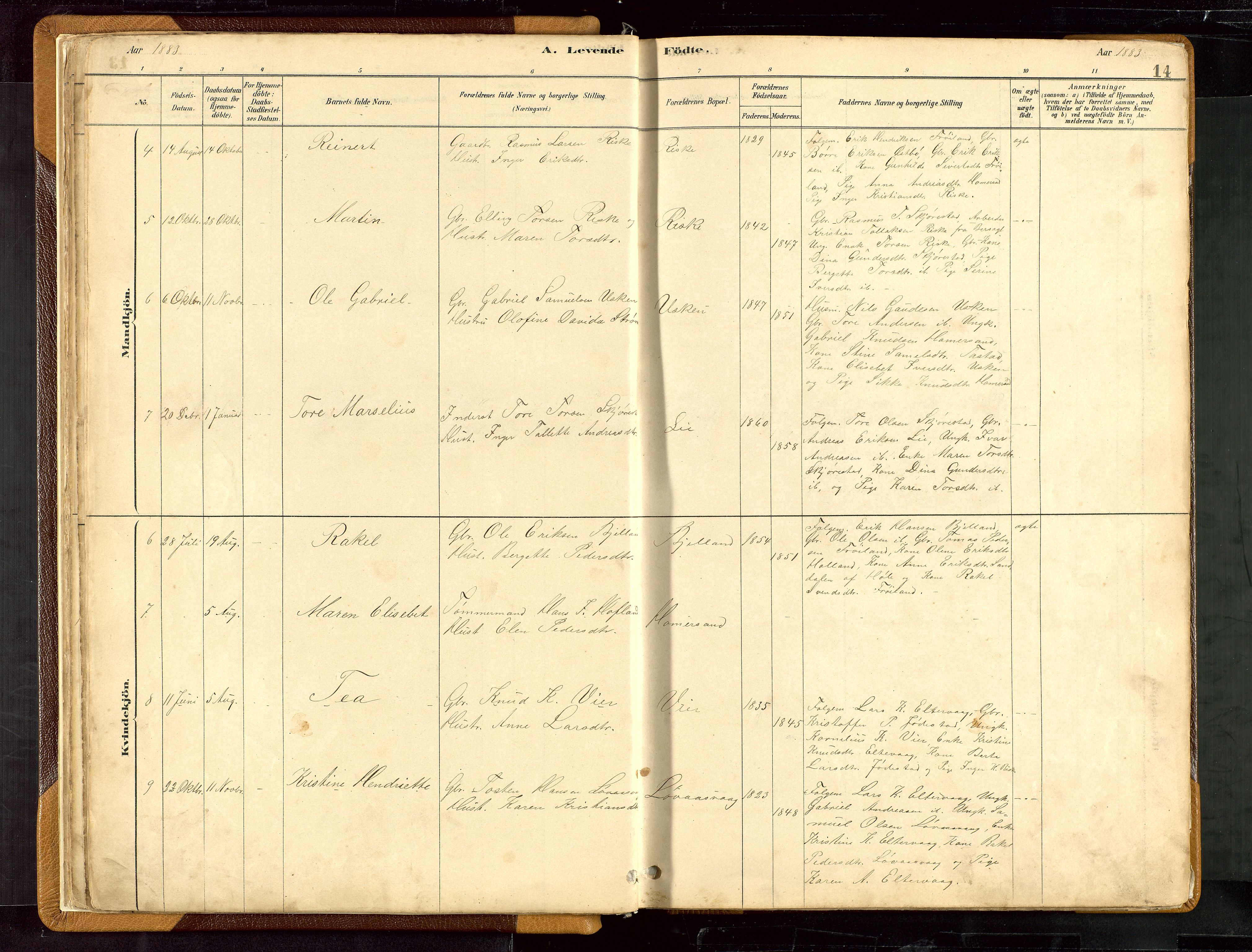 Hetland sokneprestkontor, SAST/A-101826/30/30BB/L0007: Parish register (copy) no. B 7, 1878-1910, p. 14