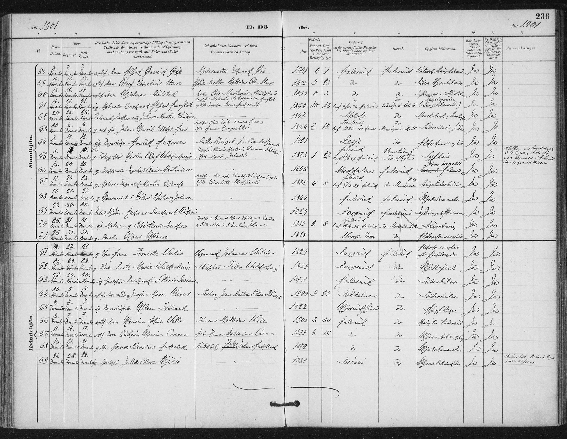 Ministerialprotokoller, klokkerbøker og fødselsregistre - Møre og Romsdal, AV/SAT-A-1454/529/L0457: Parish register (official) no. 529A07, 1894-1903, p. 236