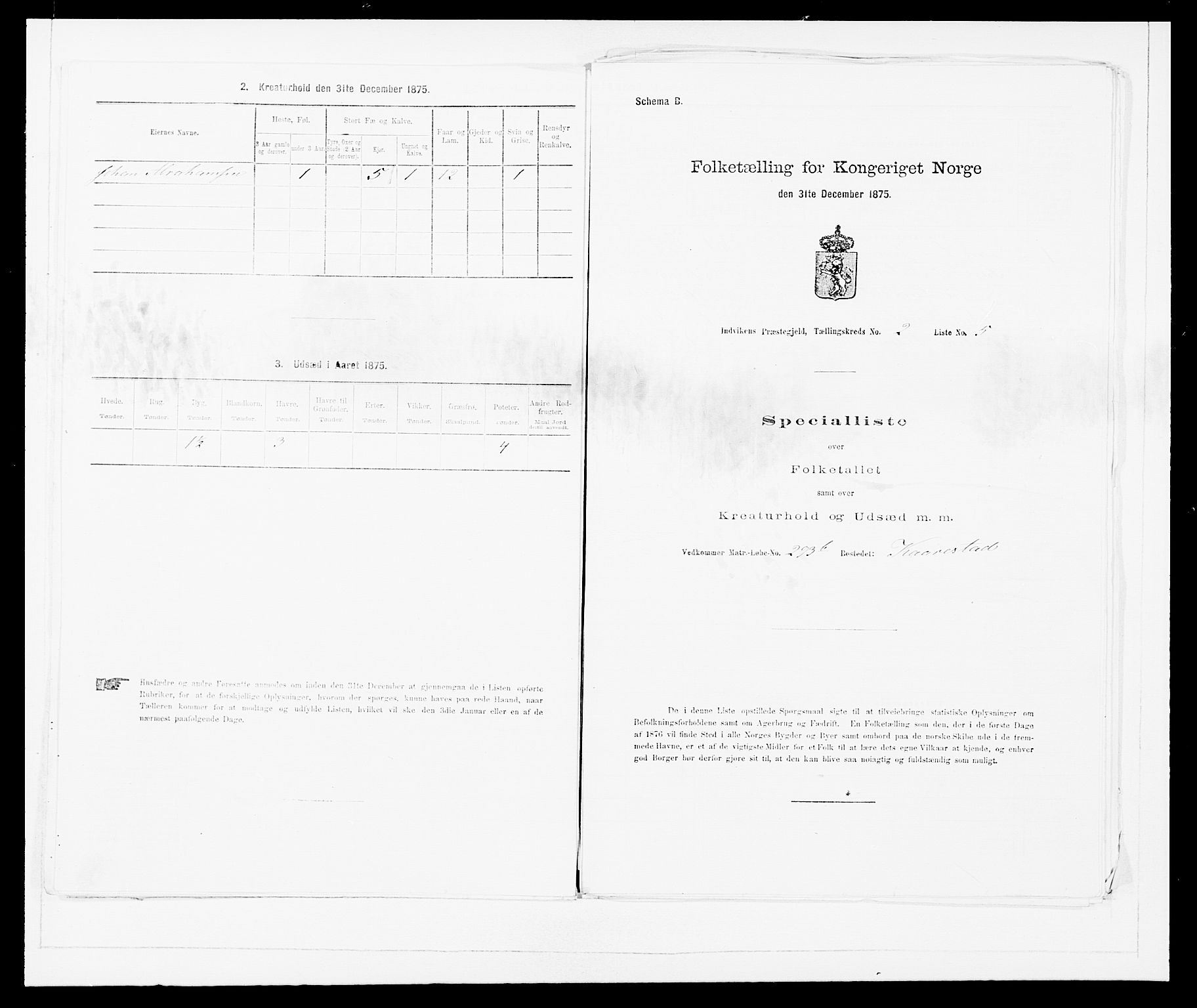 SAB, 1875 Census for 1447P Innvik, 1875, p. 175