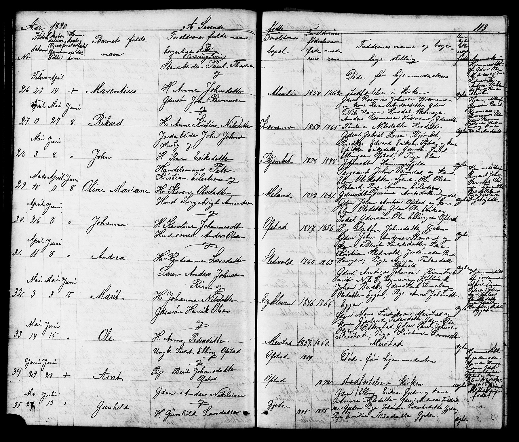 Ministerialprotokoller, klokkerbøker og fødselsregistre - Sør-Trøndelag, AV/SAT-A-1456/665/L0777: Parish register (copy) no. 665C02, 1867-1915, p. 113