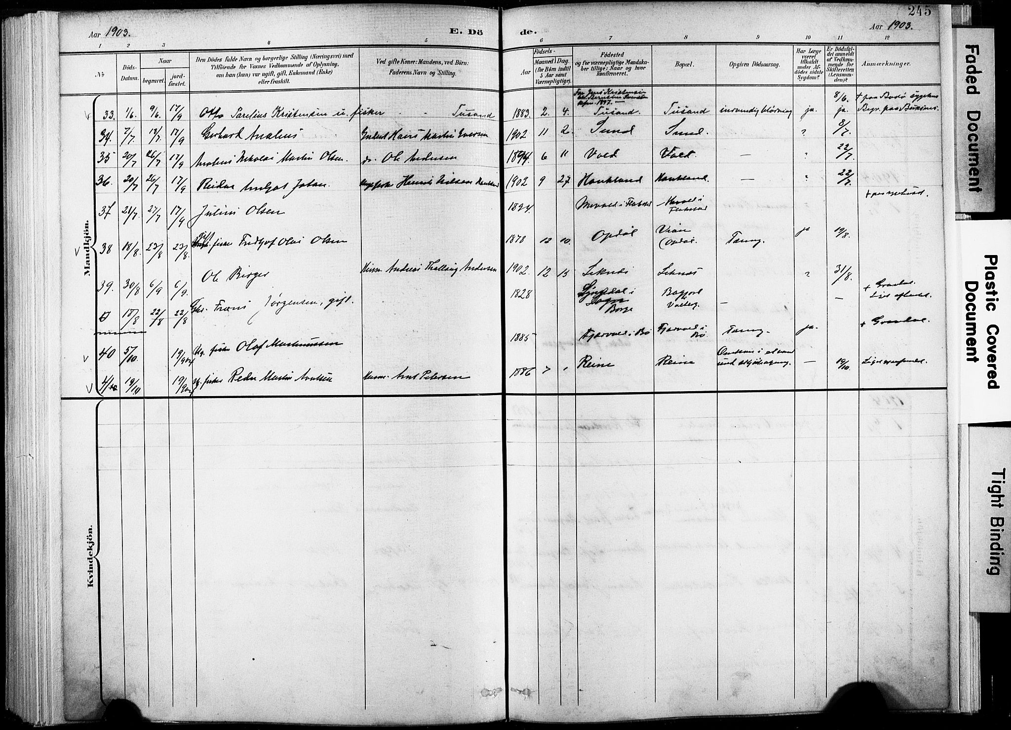 Ministerialprotokoller, klokkerbøker og fødselsregistre - Nordland, AV/SAT-A-1459/881/L1151: Parish register (official) no. 881A04, 1899-1907, p. 245