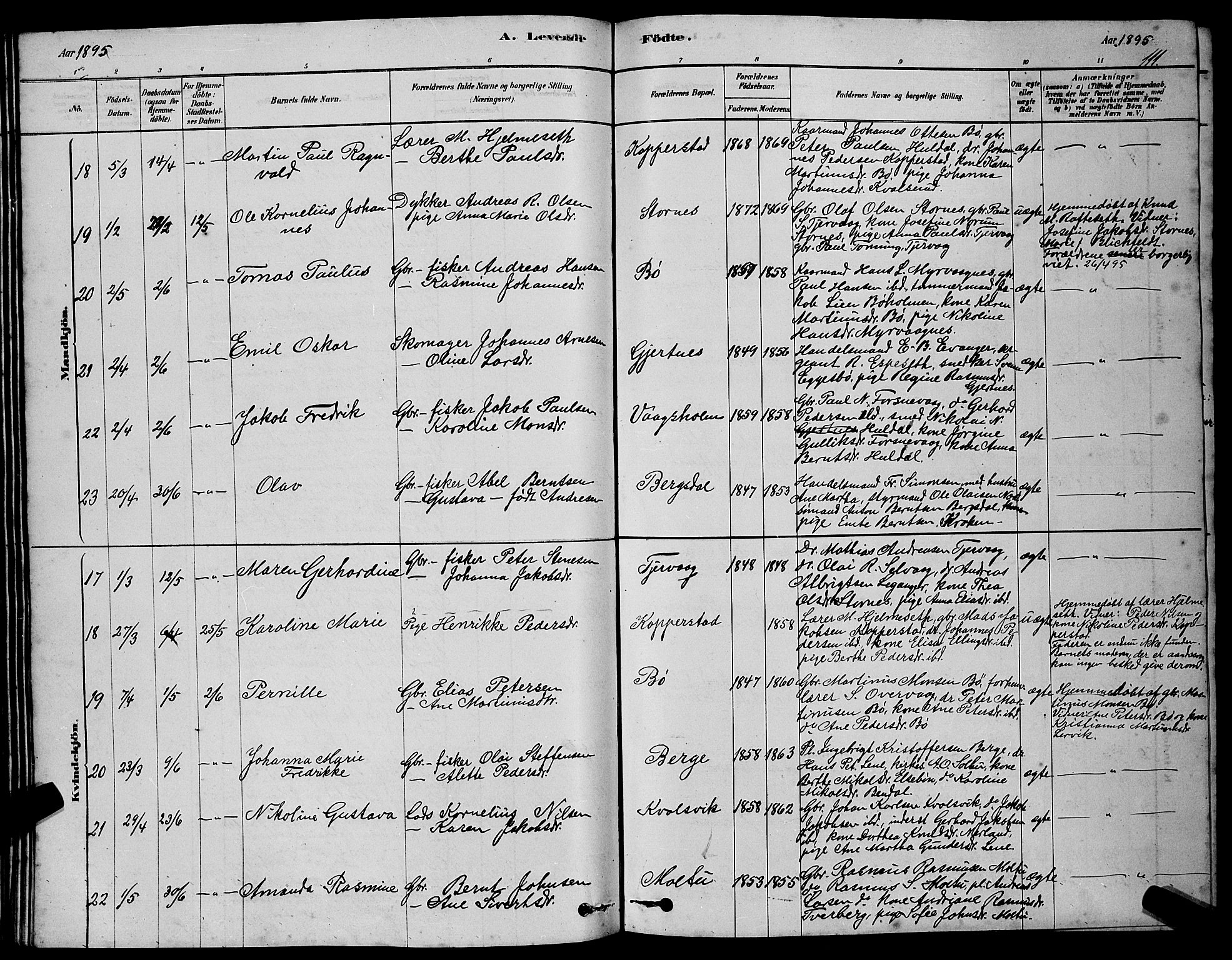 Ministerialprotokoller, klokkerbøker og fødselsregistre - Møre og Romsdal, AV/SAT-A-1454/507/L0081: Parish register (copy) no. 507C04, 1878-1898, p. 111