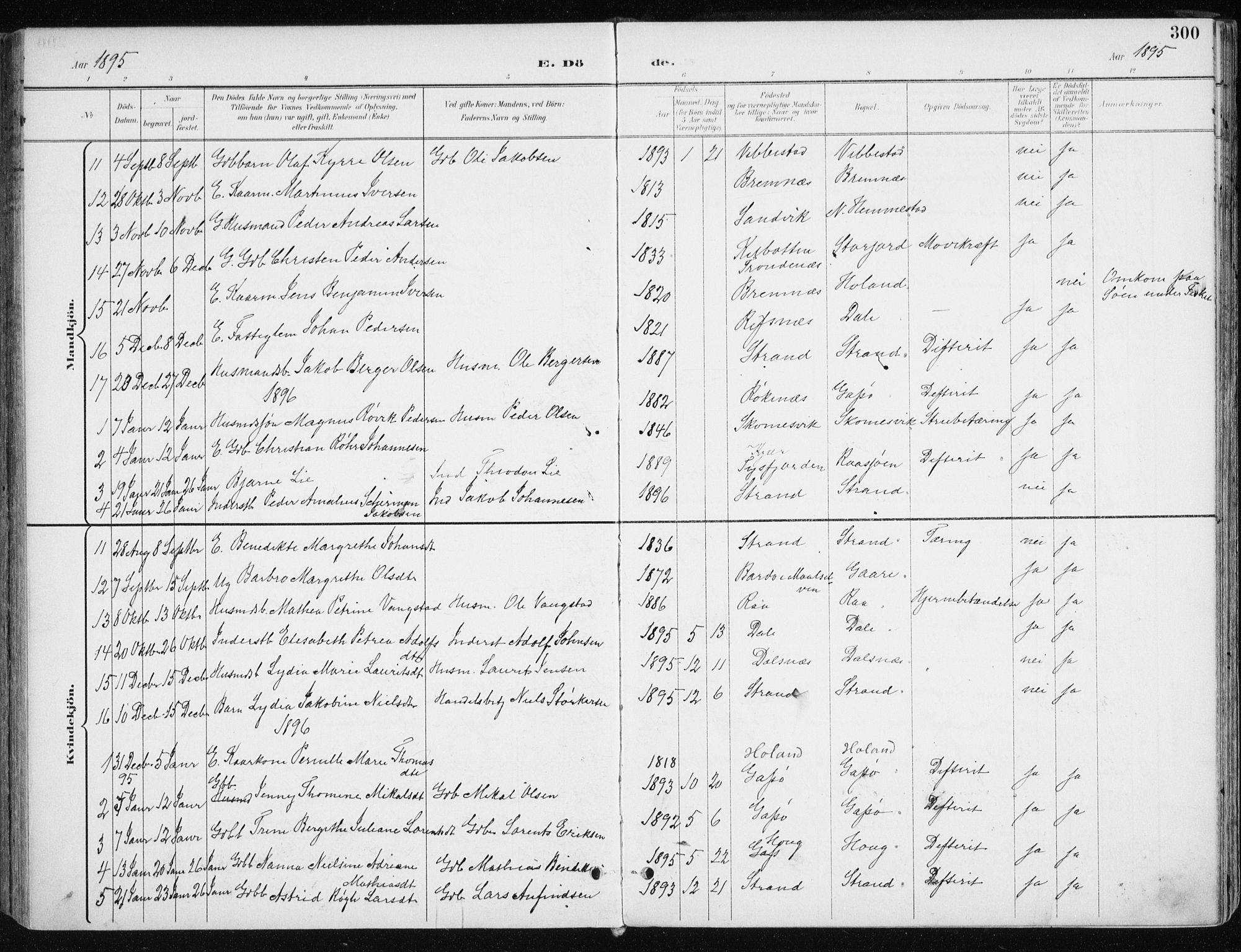 Kvæfjord sokneprestkontor, SATØ/S-1323/G/Ga/Gaa/L0006kirke: Parish register (official) no. 6, 1895-1914, p. 300