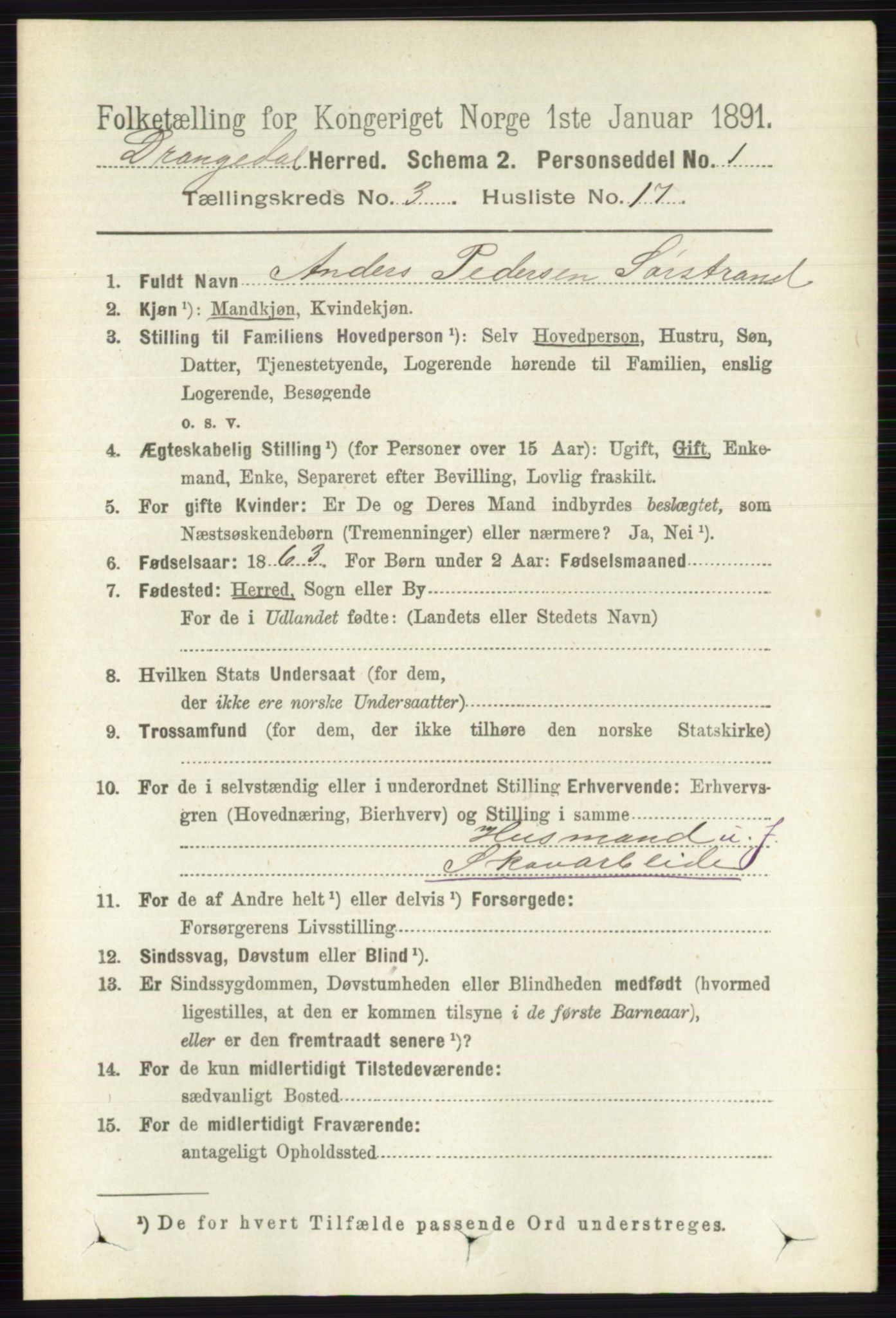 RA, 1891 census for 0817 Drangedal, 1891, p. 953