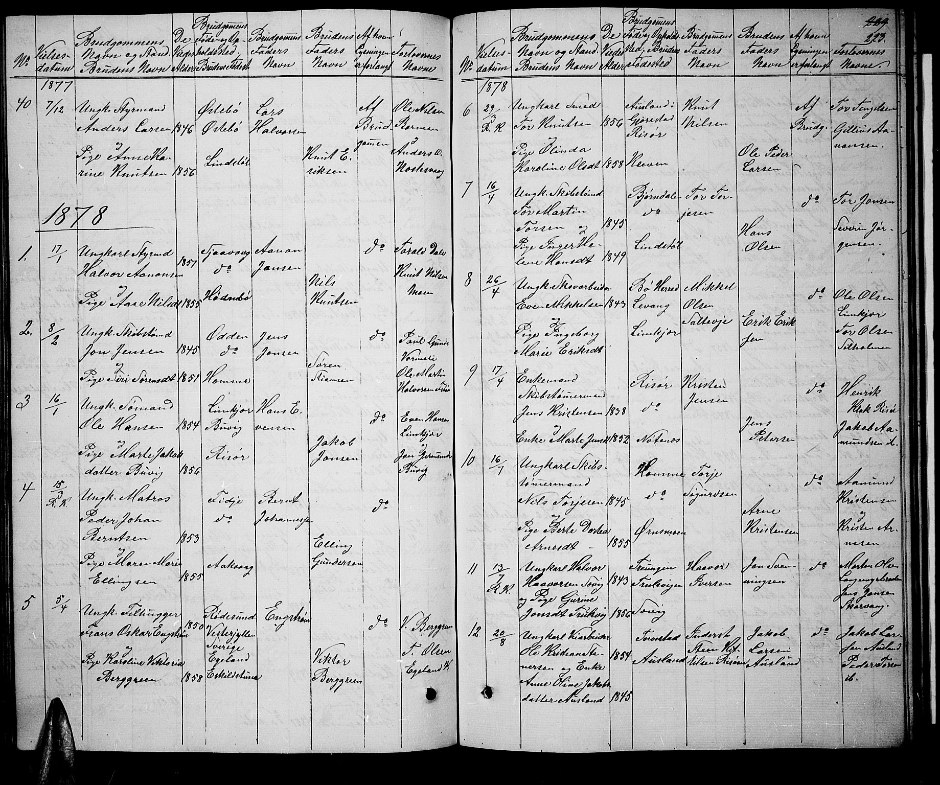 Søndeled sokneprestkontor, AV/SAK-1111-0038/F/Fb/L0004: Parish register (copy) no. B 4, 1857-1884, p. 223