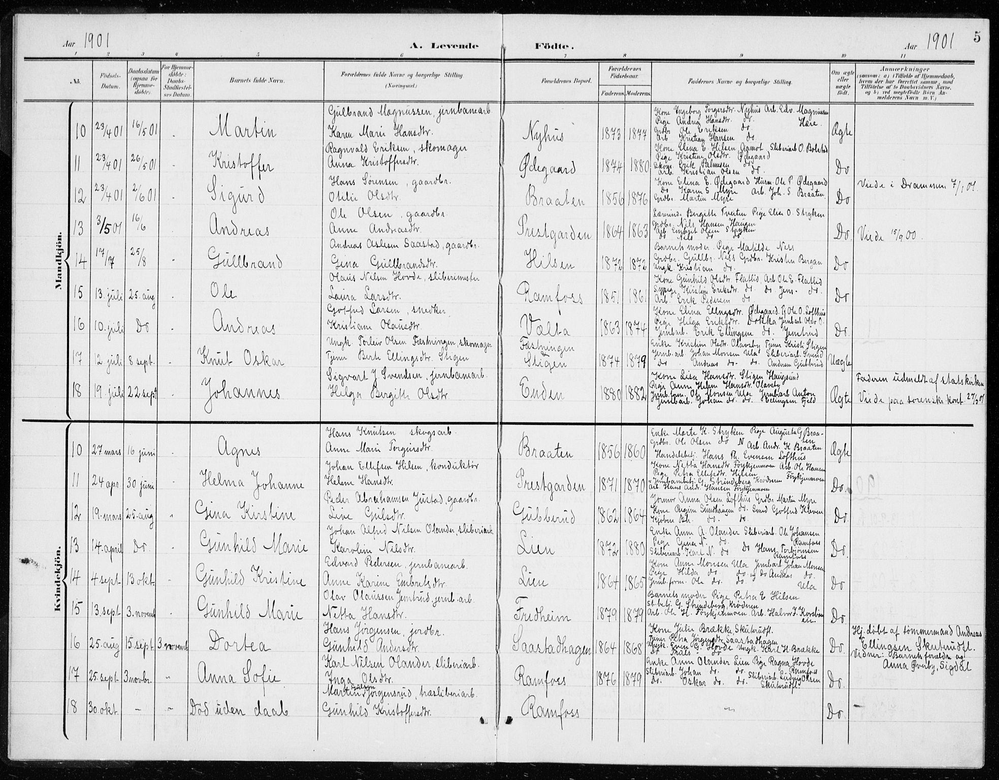 Modum kirkebøker, AV/SAKO-A-234/G/Gd/L0001: Parish register (copy) no. IV 1, 1901-1921, p. 5