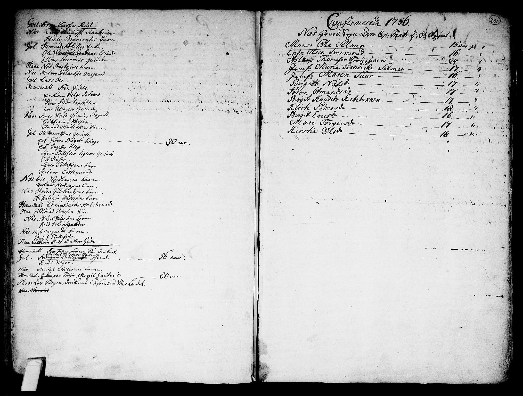 Nes kirkebøker, SAKO/A-236/F/Fa/L0002: Parish register (official) no. 2, 1707-1759, p. 201