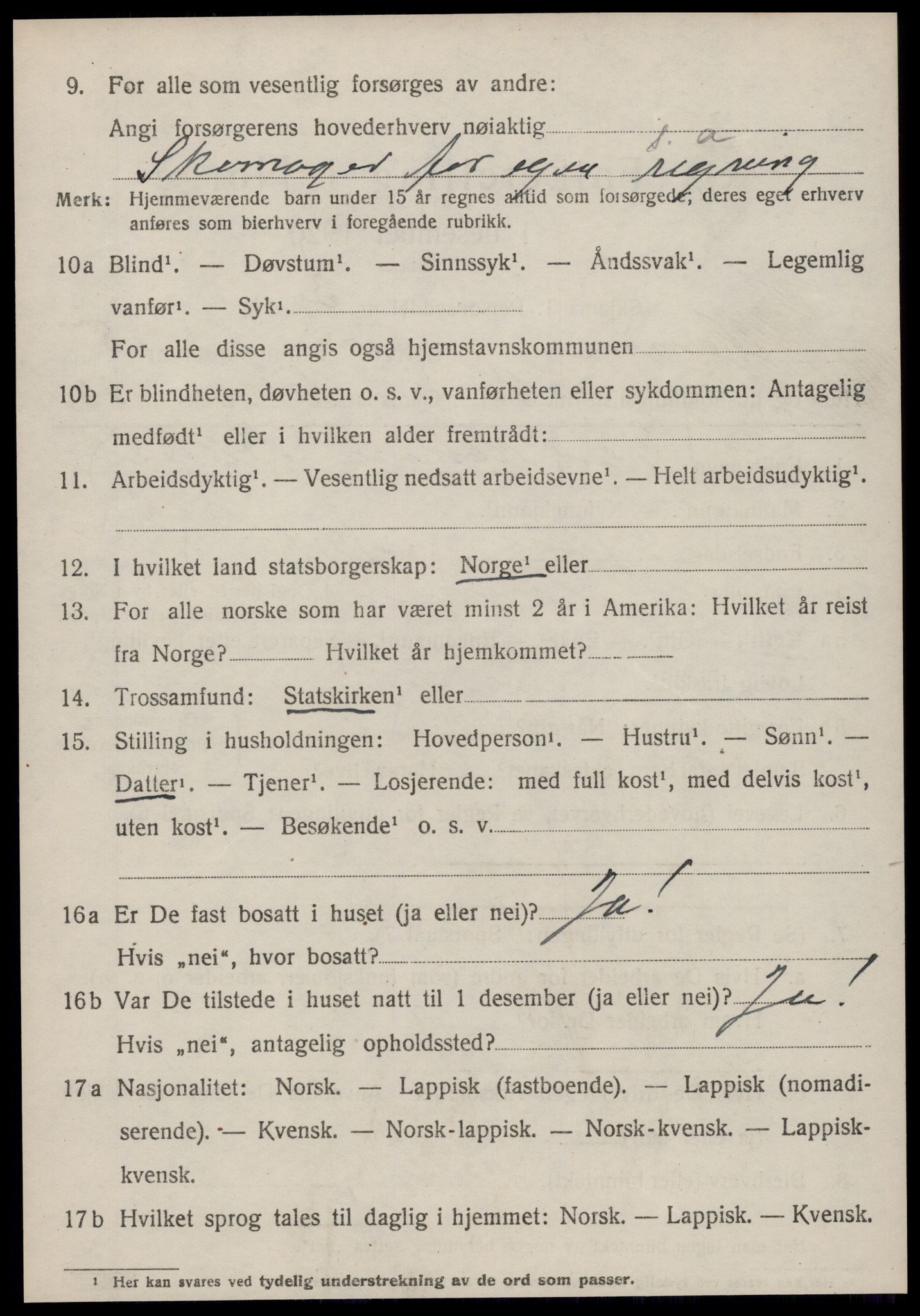 SAT, 1920 census for Hemne, 1920, p. 5205