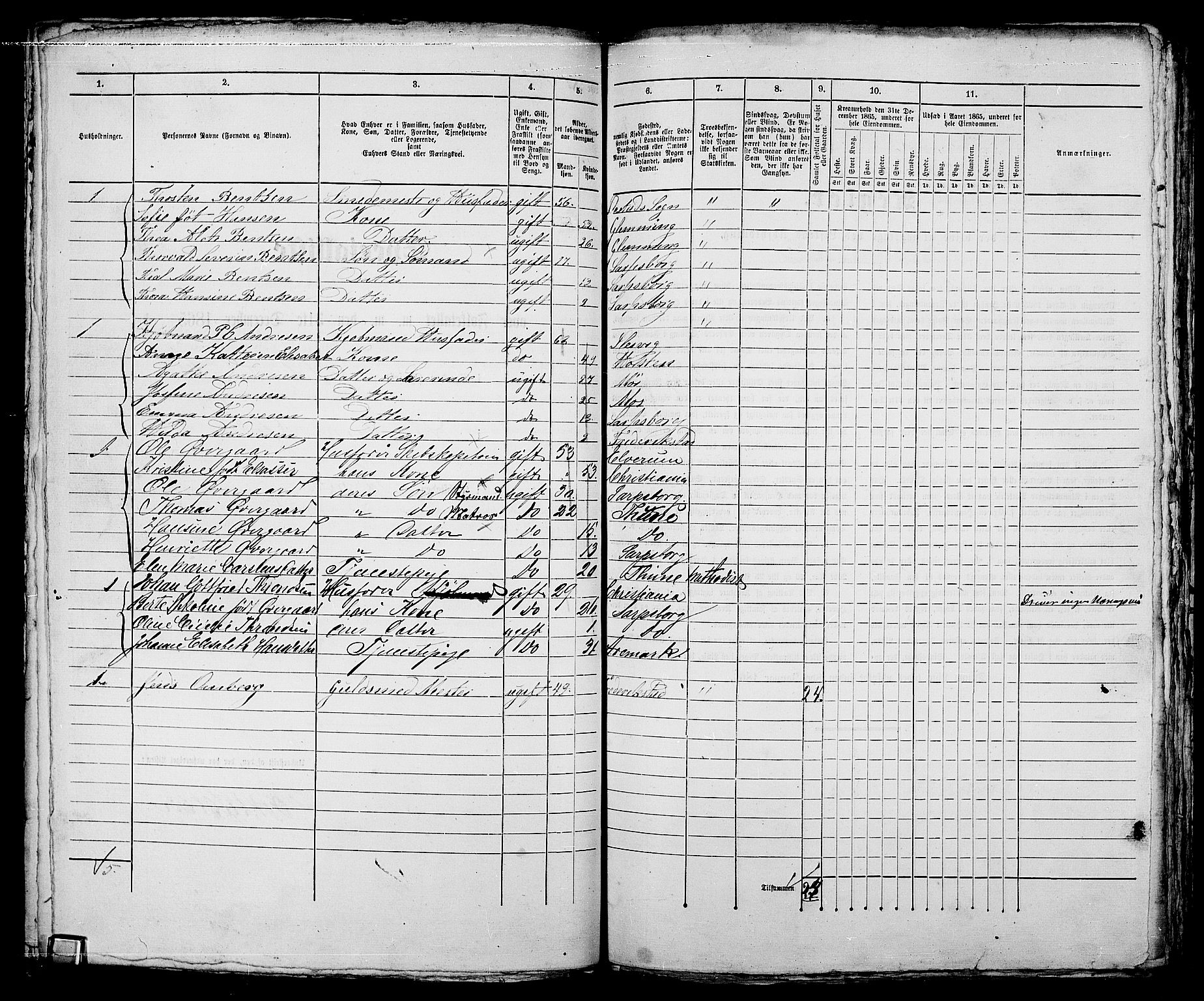 RA, 1865 census for Sarpsborg, 1865, p. 250