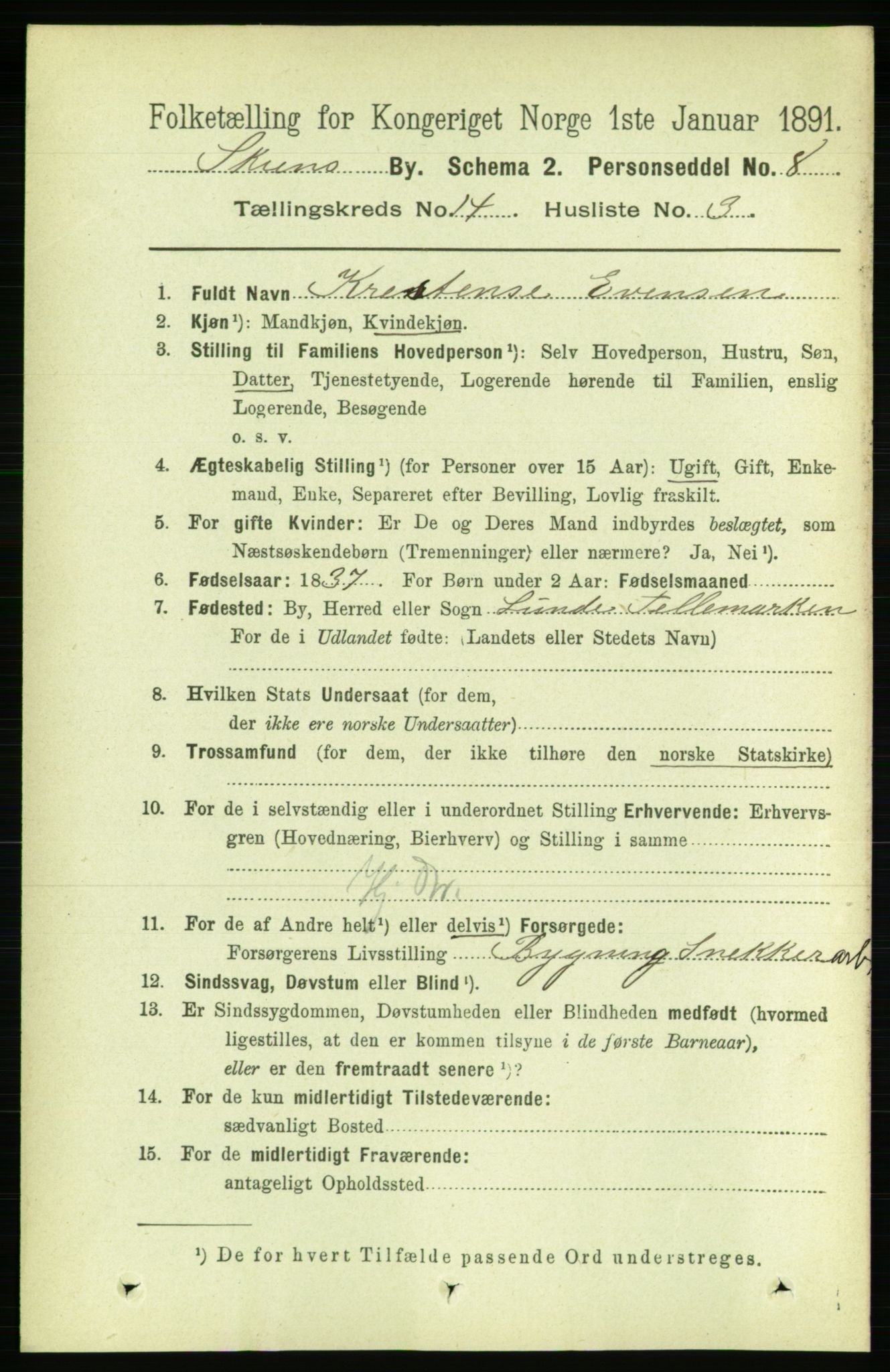 RA, 1891 census for 0806 Skien, 1891, p. 4296