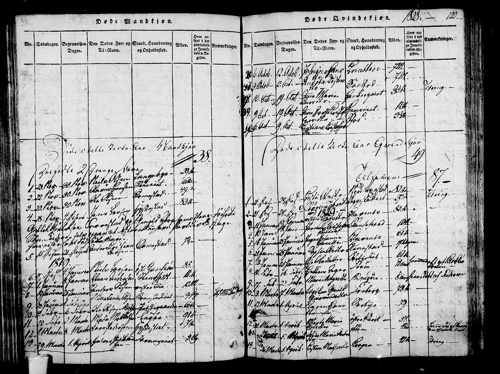 Sandar kirkebøker, SAKO/A-243/F/Fa/L0004: Parish register (official) no. 4, 1814-1832, p. 120