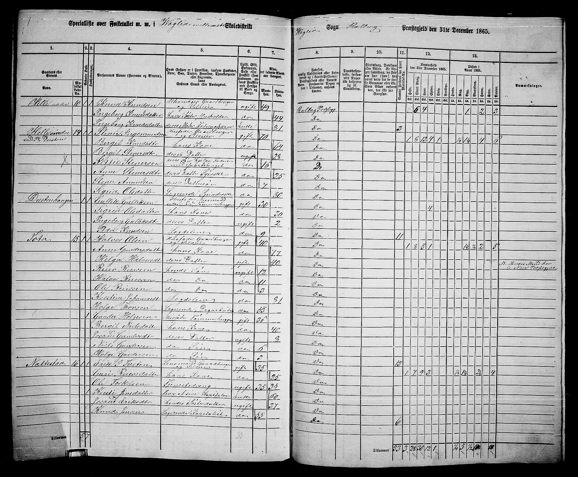 RA, 1865 census for Rollag, 1865, p. 62