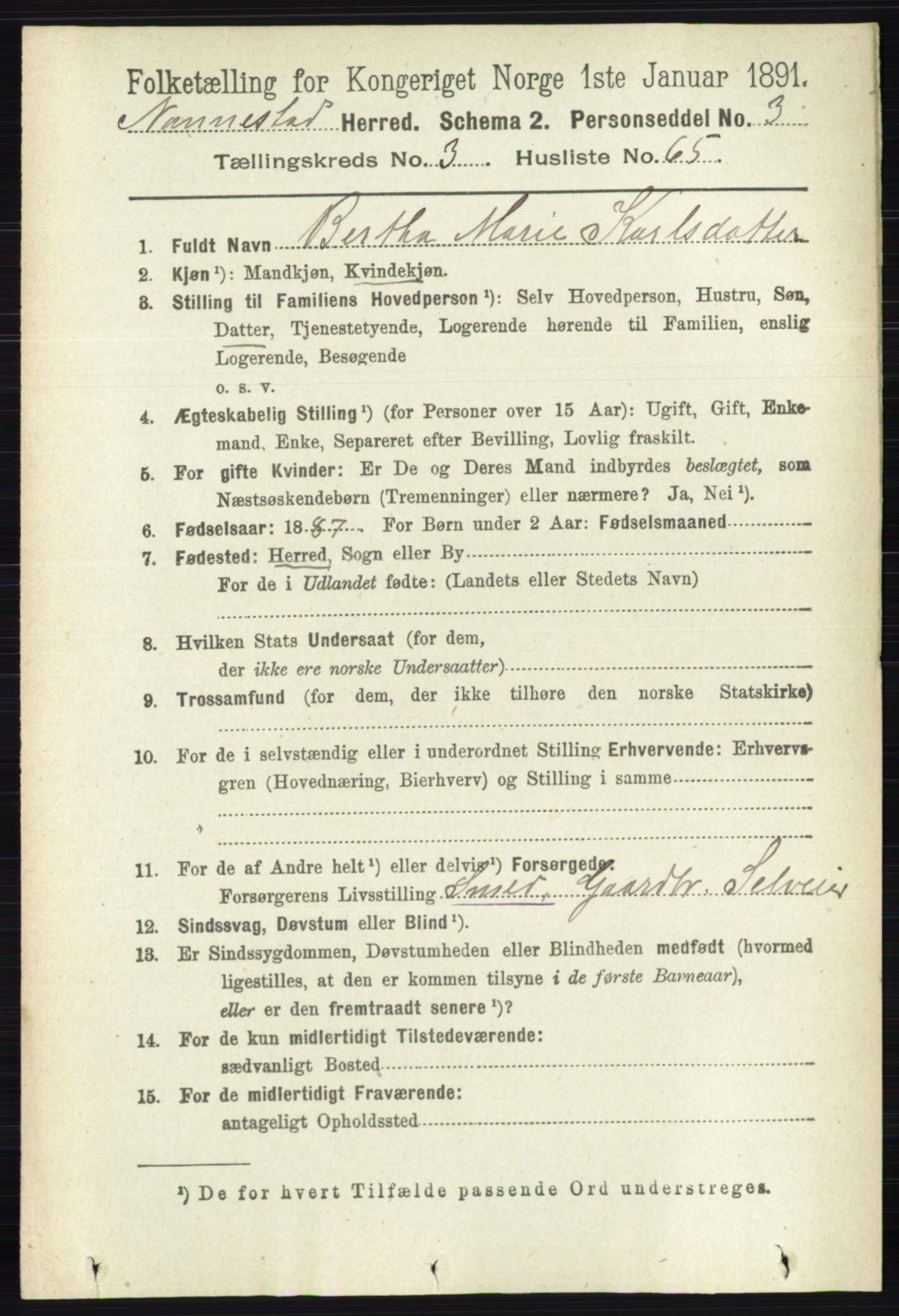 RA, 1891 census for 0238 Nannestad, 1891, p. 1838