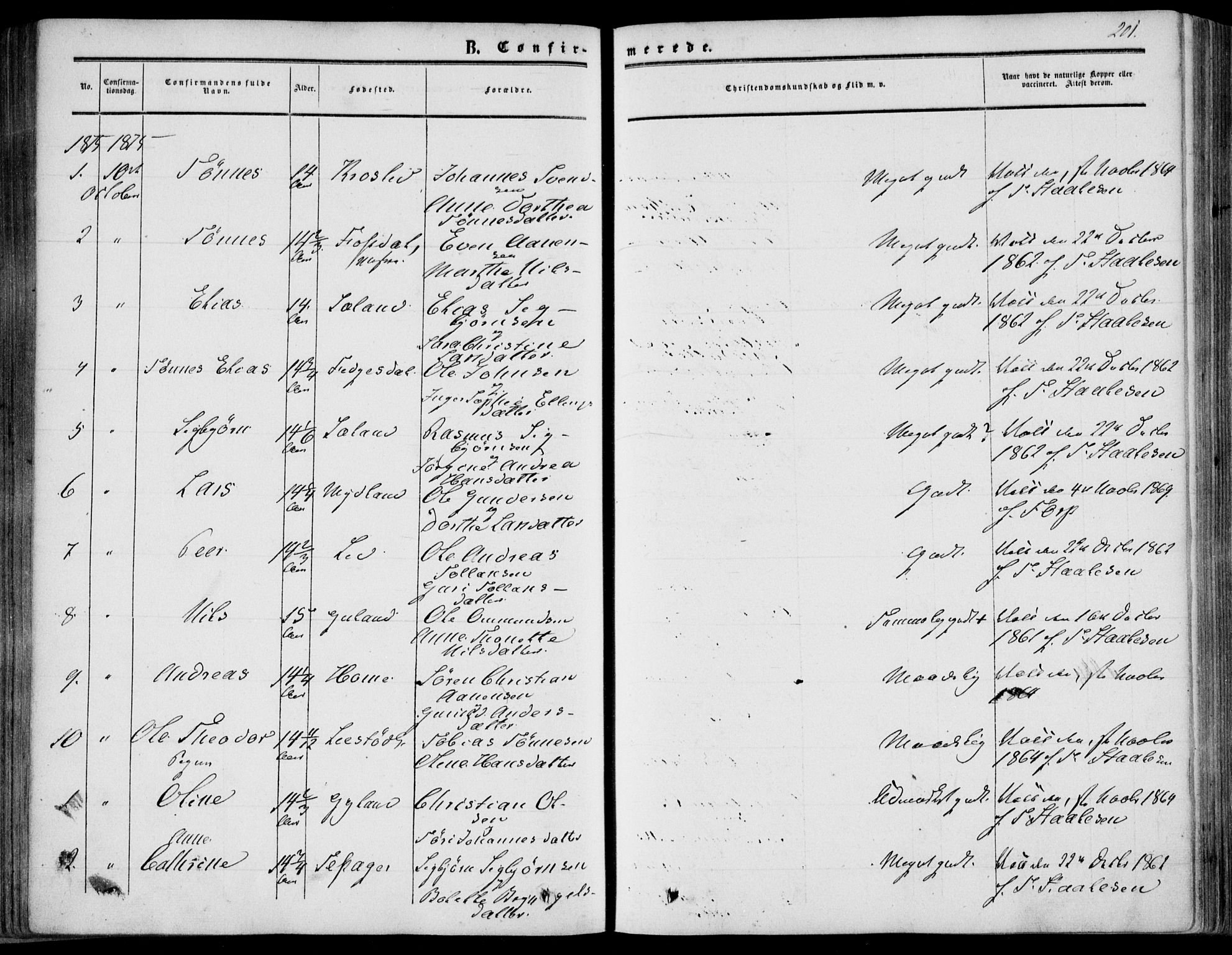 Bakke sokneprestkontor, SAK/1111-0002/F/Fa/Fab/L0002: Parish register (official) no. A 2, 1855-1884, p. 201