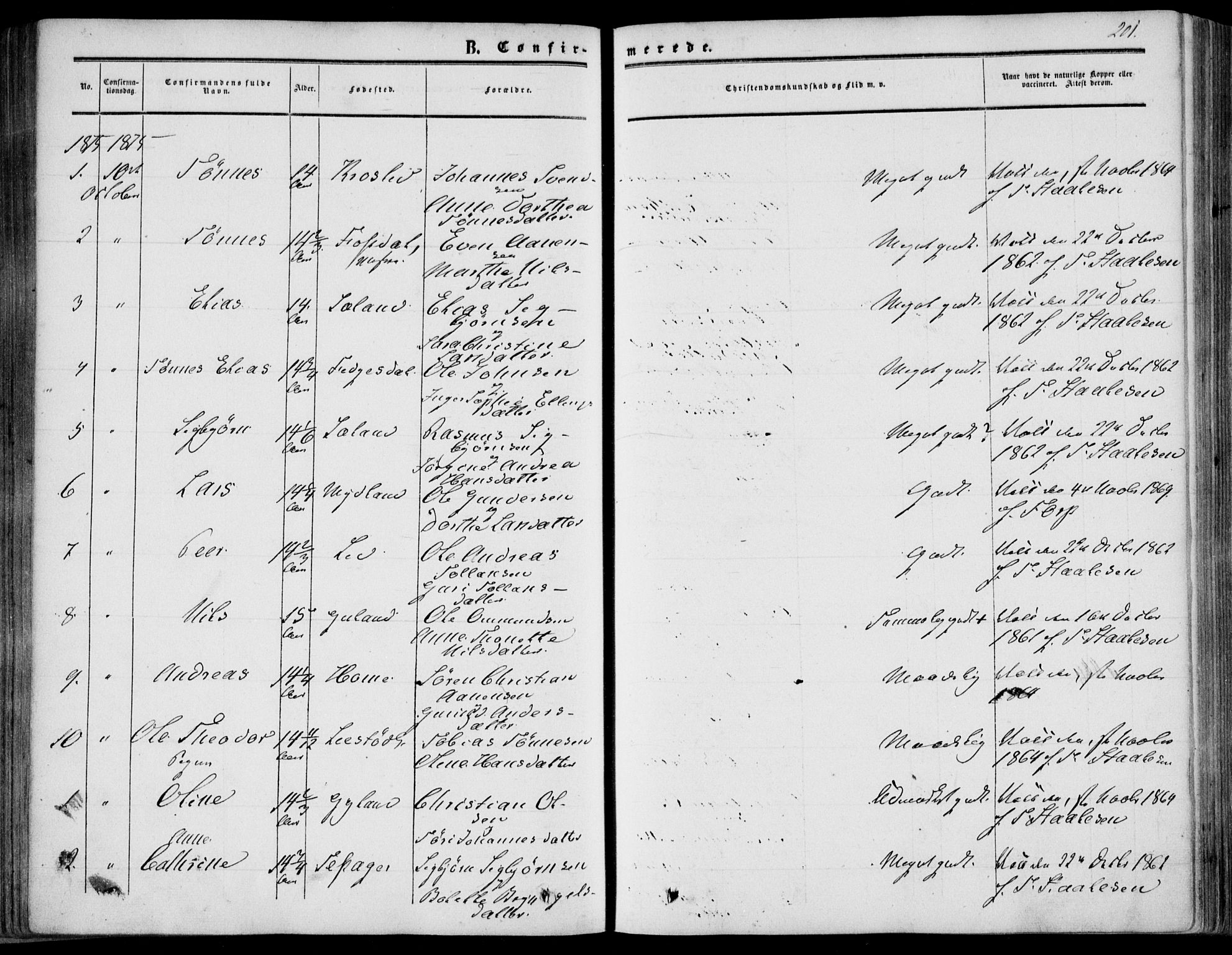 Bakke sokneprestkontor, AV/SAK-1111-0002/F/Fa/Fab/L0002: Parish register (official) no. A 2, 1855-1884, p. 201