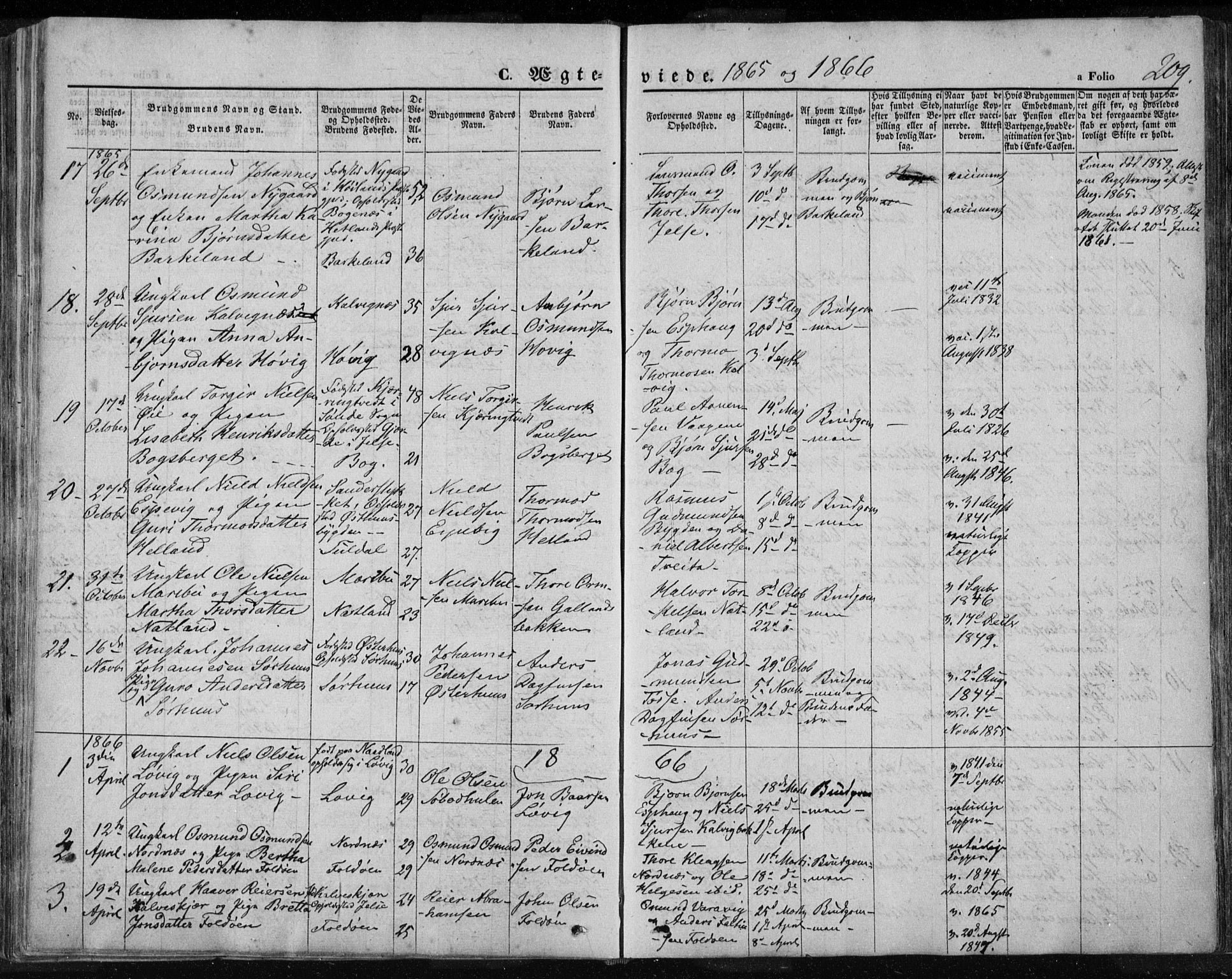 Jelsa sokneprestkontor, SAST/A-101842/01/IV: Parish register (official) no. A 7, 1854-1866, p. 209