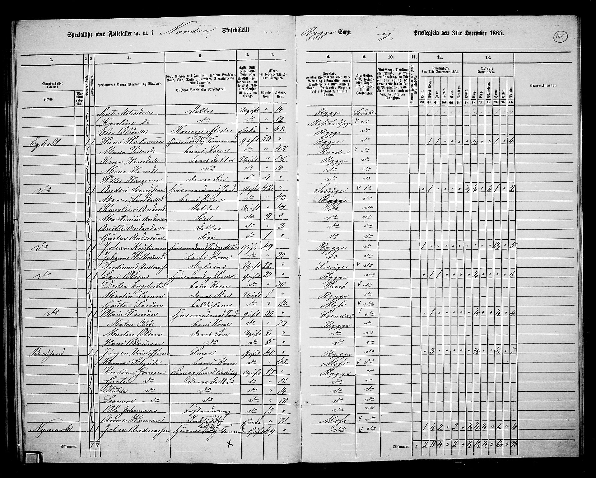 RA, 1865 census for Rygge, 1865, p. 96