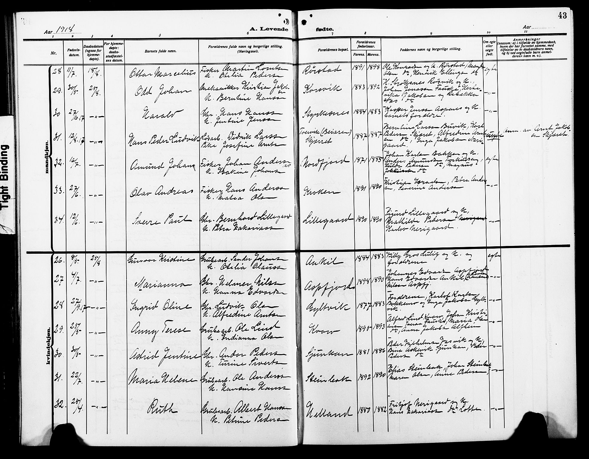 Ministerialprotokoller, klokkerbøker og fødselsregistre - Nordland, SAT/A-1459/854/L0787: Parish register (copy) no. 854C03, 1913-1926, p. 43