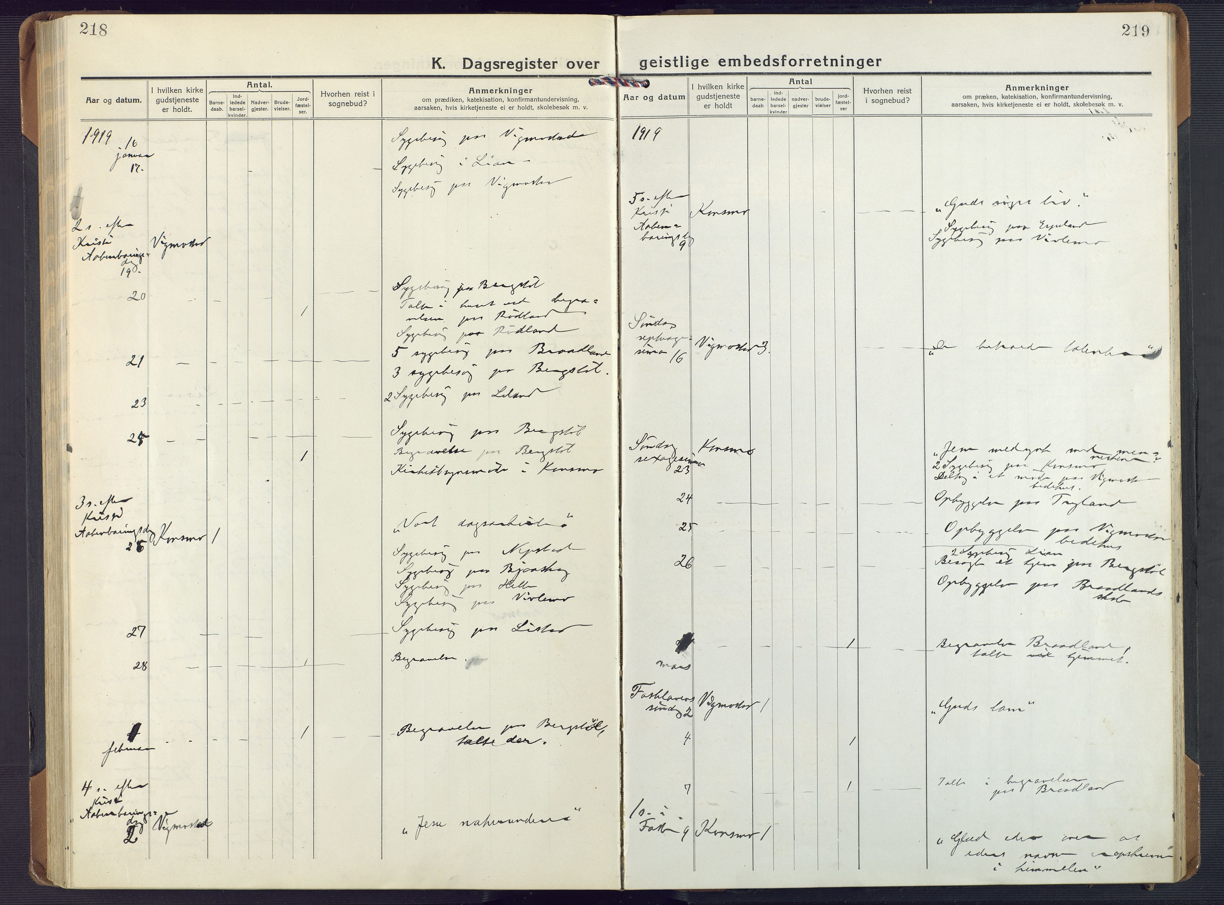 Nord-Audnedal sokneprestkontor, AV/SAK-1111-0032/F/Fa/Fab/L0005: Parish register (official) no. A 5, 1918-1925, p. 218-219