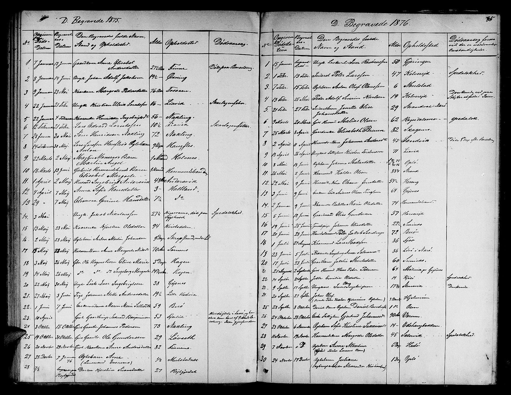 Ministerialprotokoller, klokkerbøker og fødselsregistre - Nord-Trøndelag, SAT/A-1458/780/L0650: Parish register (copy) no. 780C02, 1866-1884, p. 85