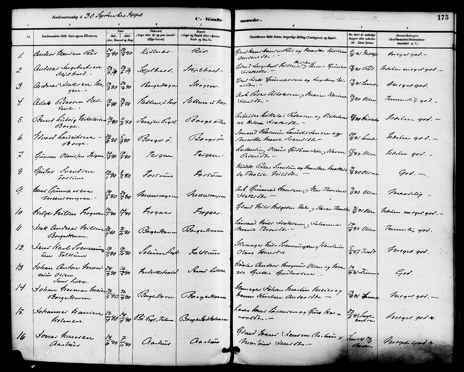 Gjerpen kirkebøker, AV/SAKO-A-265/F/Fa/L0010: Parish register (official) no. I 10, 1886-1895, p. 175