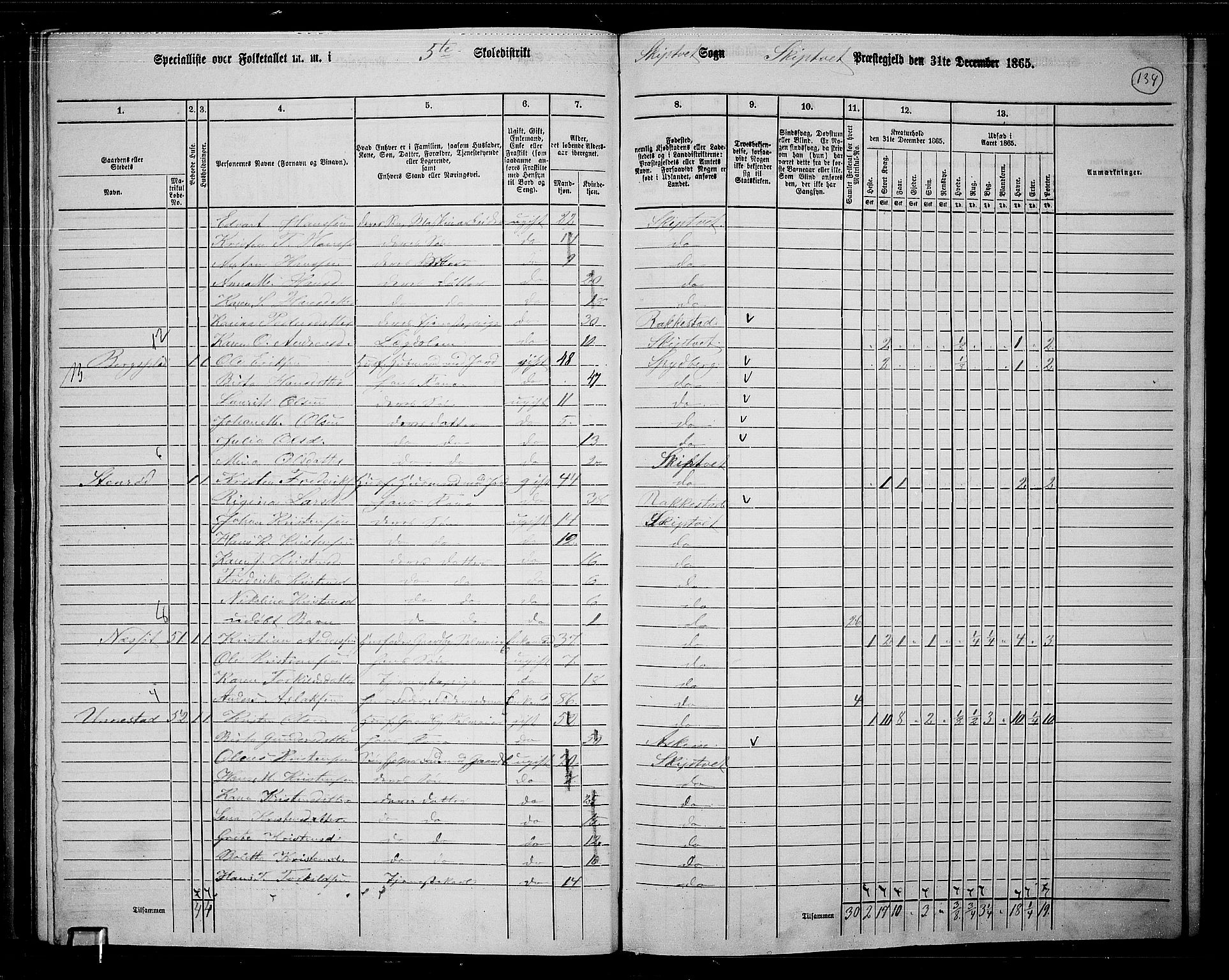 RA, 1865 census for Skiptvet, 1865, p. 117