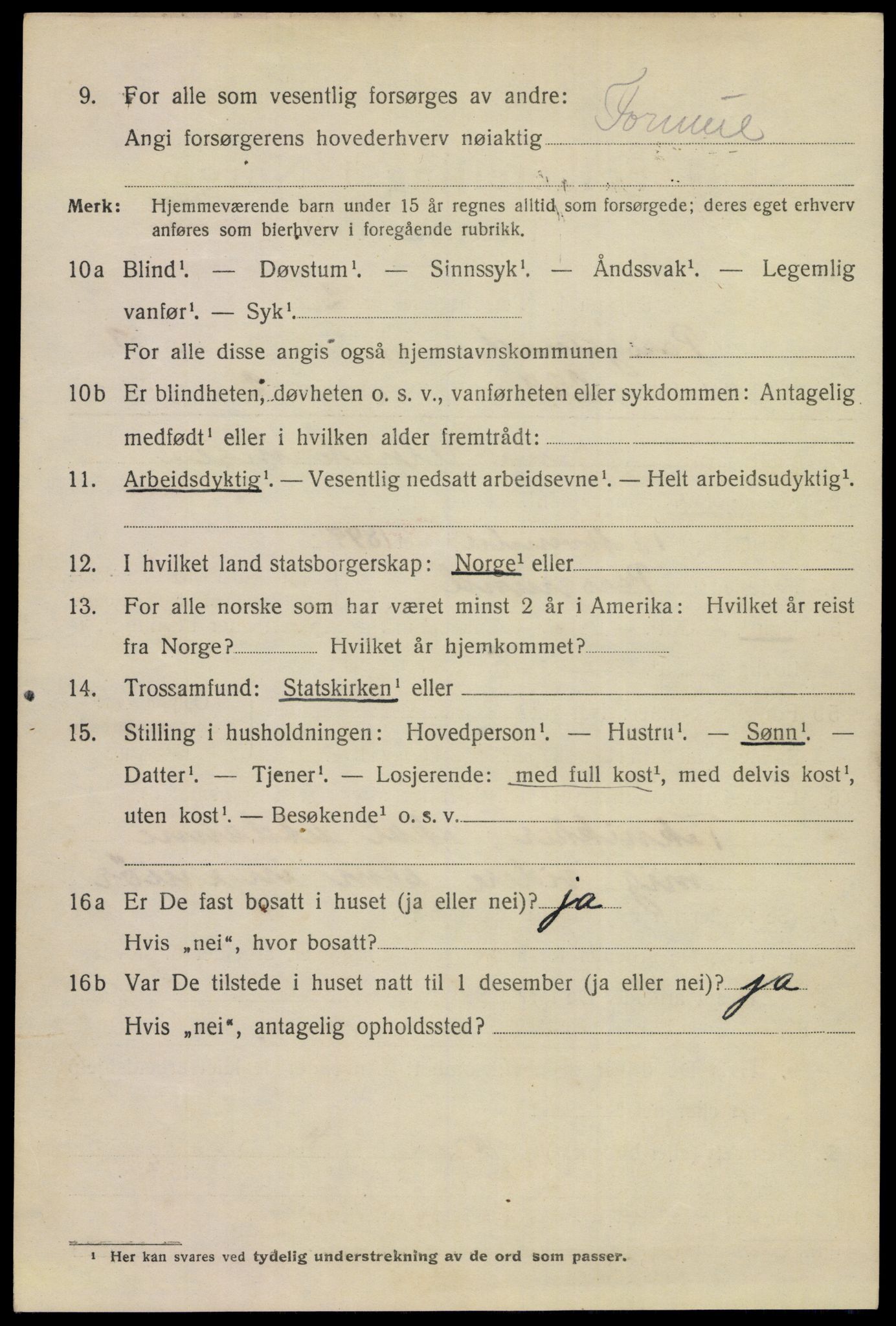SAKO, 1920 census for Porsgrunn, 1920, p. 17324