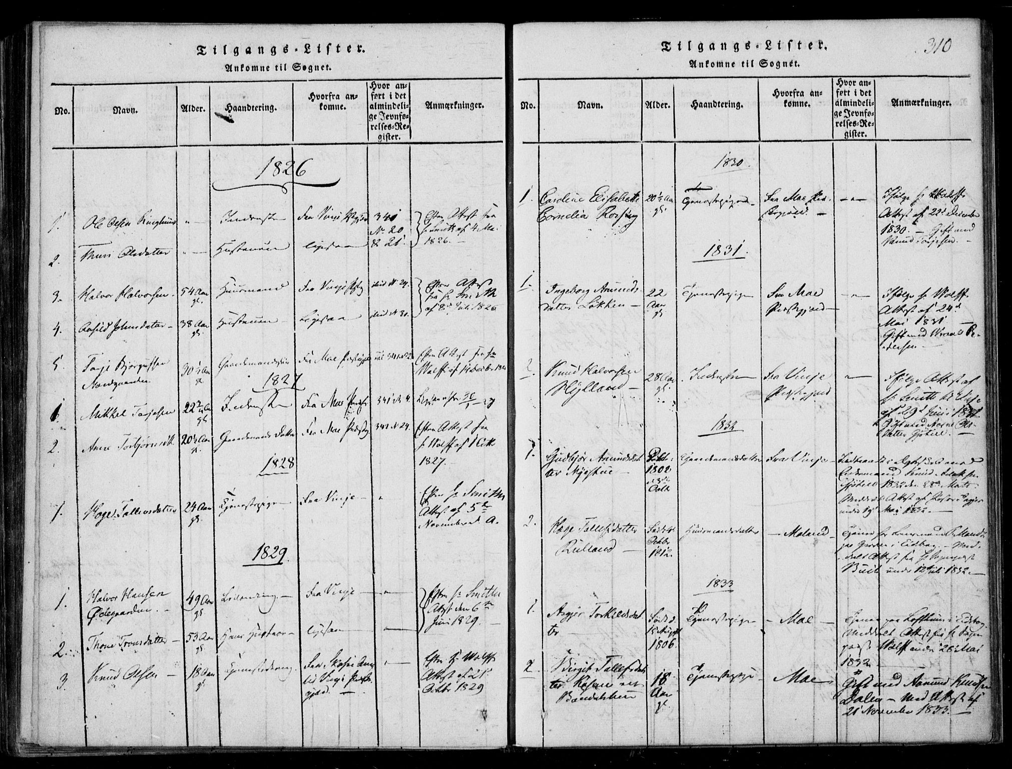 Lårdal kirkebøker, SAKO/A-284/F/Fb/L0001: Parish register (official) no. II 1, 1815-1860, p. 310