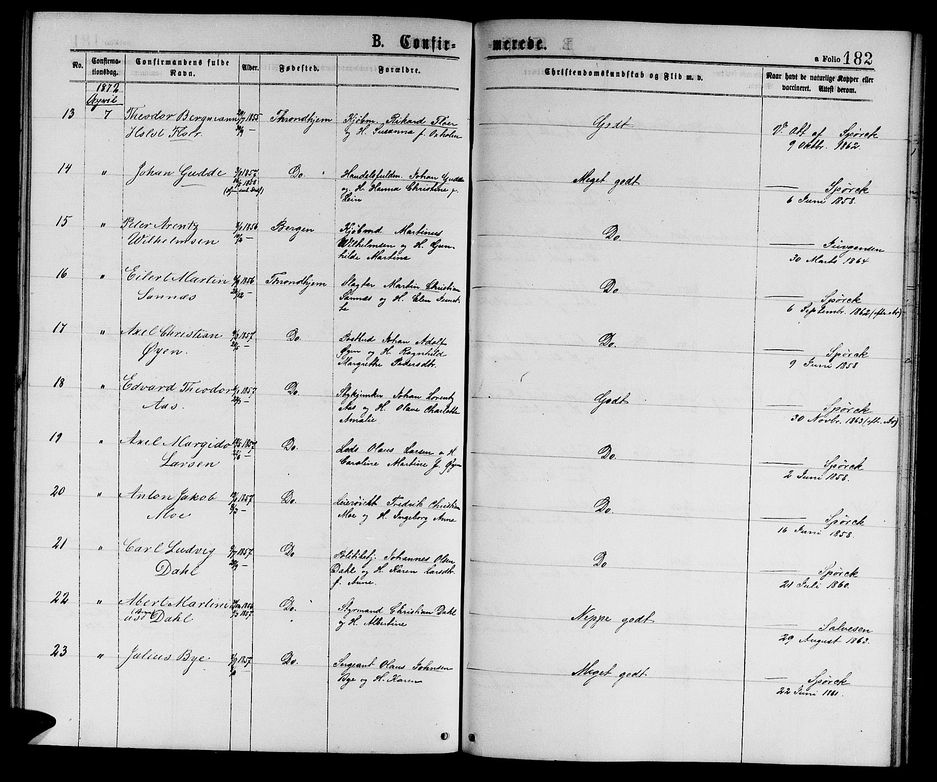 Ministerialprotokoller, klokkerbøker og fødselsregistre - Sør-Trøndelag, AV/SAT-A-1456/601/L0088: Parish register (copy) no. 601C06, 1870-1878, p. 182