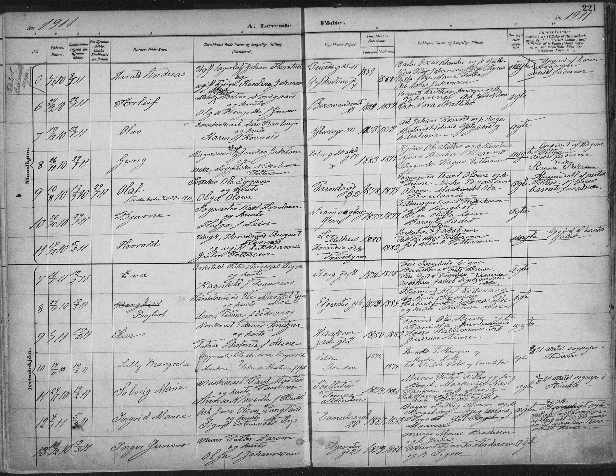 Ministerialprotokoller, klokkerbøker og fødselsregistre - Sør-Trøndelag, SAT/A-1456/601/L0062: Parish register (official) no. 601A30, 1891-1911, p. 221