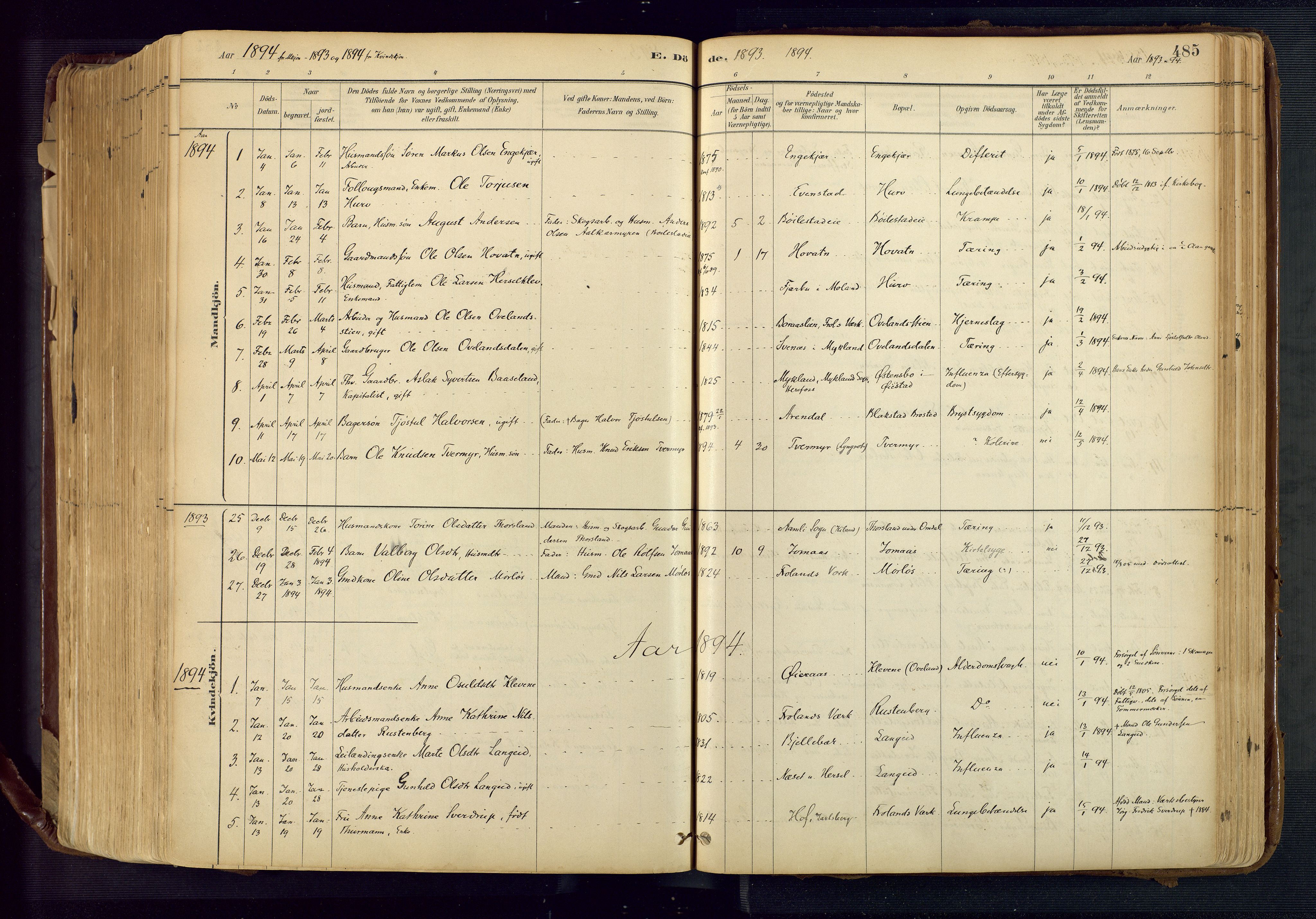 Froland sokneprestkontor, AV/SAK-1111-0013/F/Fa/L0005: Parish register (official) no. A 5, 1882-1921, p. 485