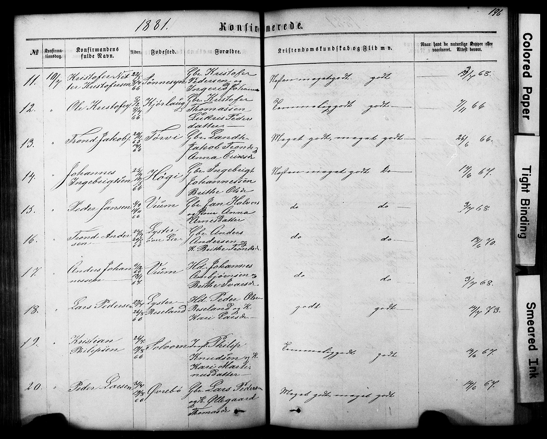 Hafslo sokneprestembete, SAB/A-80301/H/Hab/Haba/L0001: Parish register (copy) no. A 1, 1866-1908, p. 196