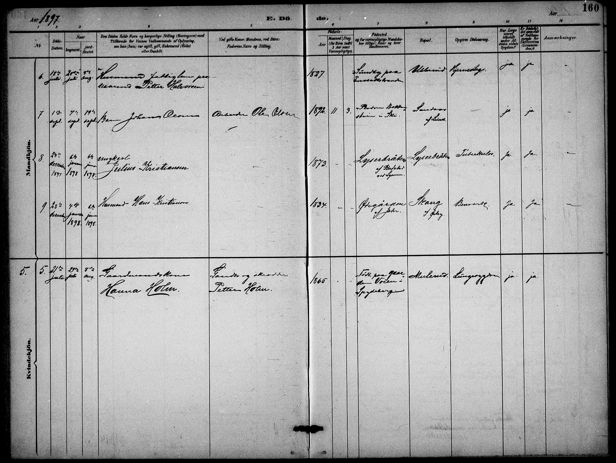 Enebakk prestekontor Kirkebøker, AV/SAO-A-10171c/G/Gb/L0002: Parish register (copy) no. II 2, 1891-1903, p. 160