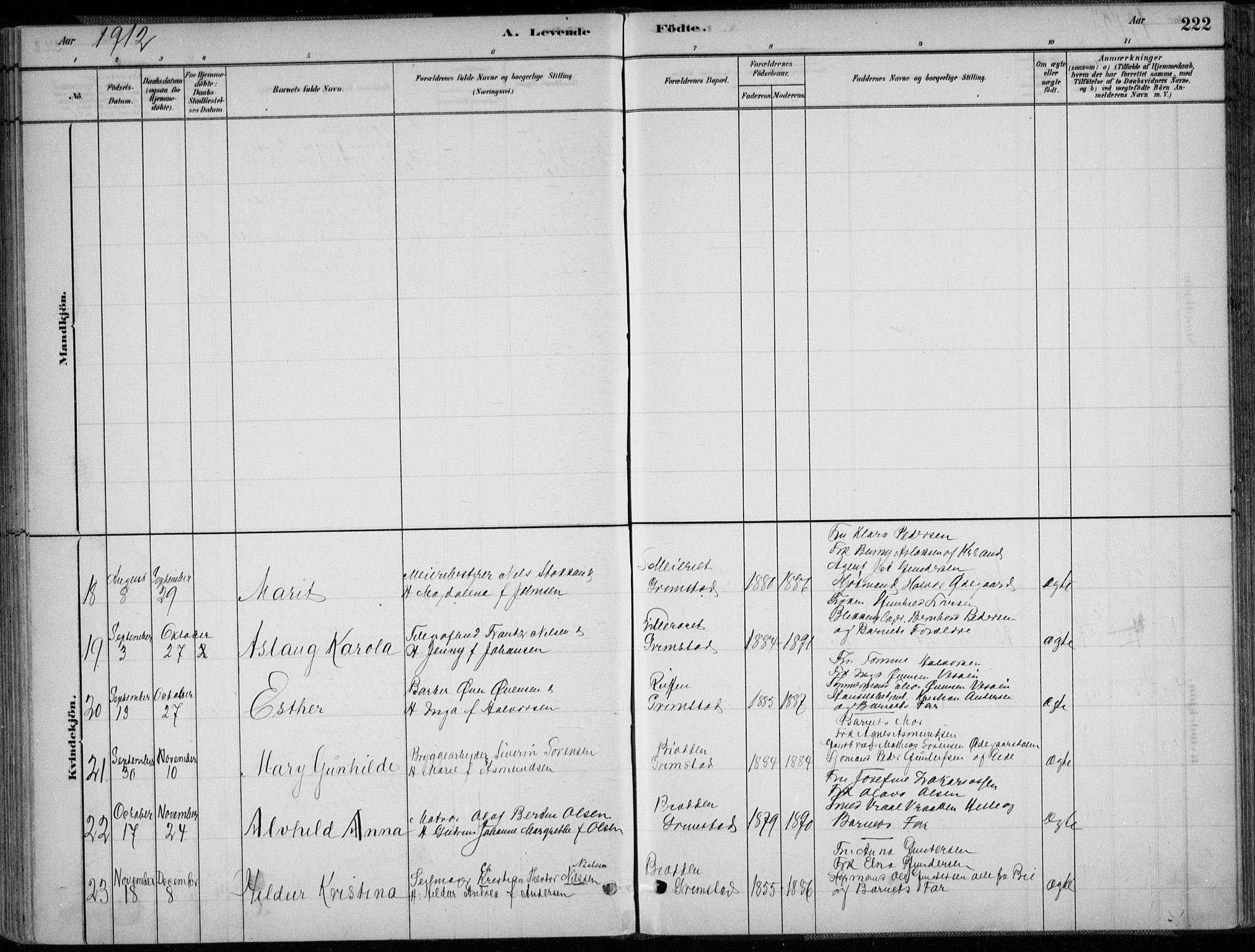 Grimstad sokneprestkontor, SAK/1111-0017/F/Fa/L0003: Parish register (official) no. A 2, 1882-1912, p. 222