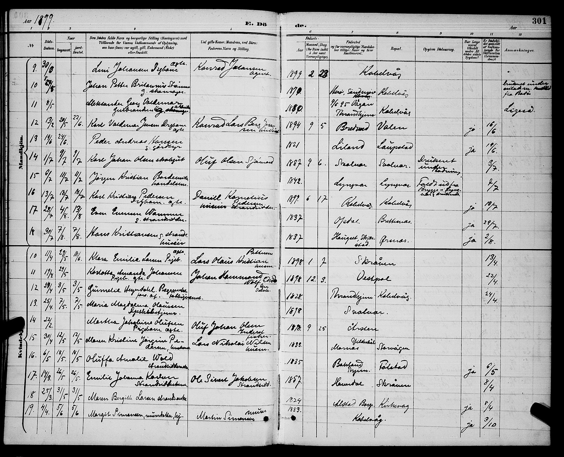 Ministerialprotokoller, klokkerbøker og fødselsregistre - Nordland, AV/SAT-A-1459/874/L1077: Parish register (copy) no. 874C06, 1891-1900, p. 301