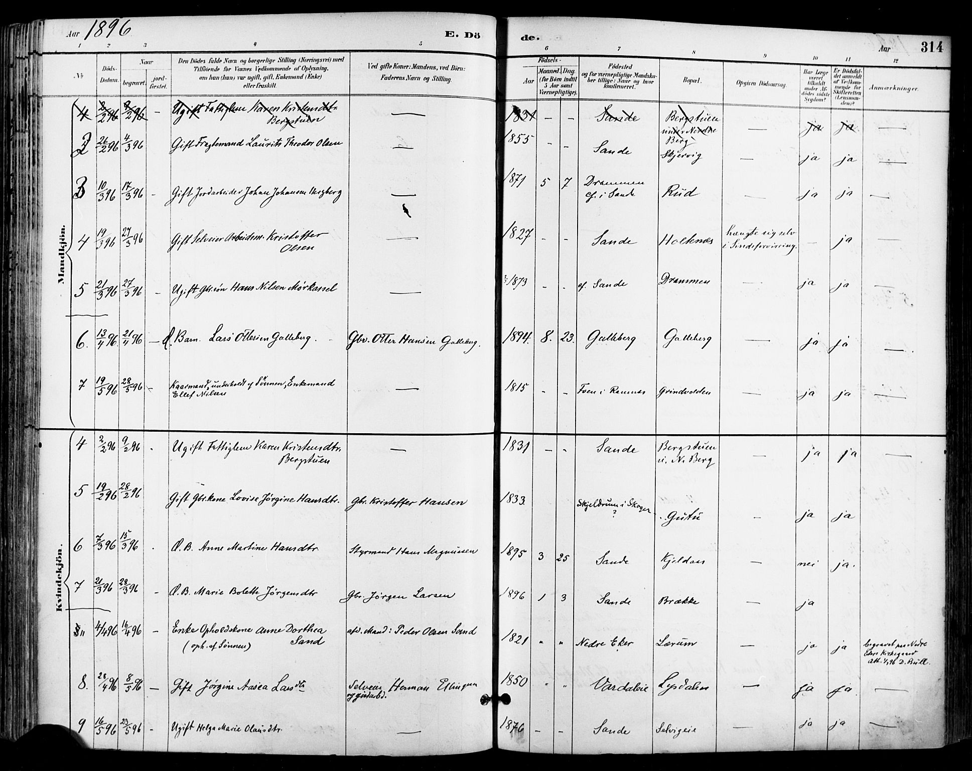 Sande Kirkebøker, AV/SAKO-A-53/F/Fa/L0007: Parish register (official) no. 7, 1888-1903, p. 314