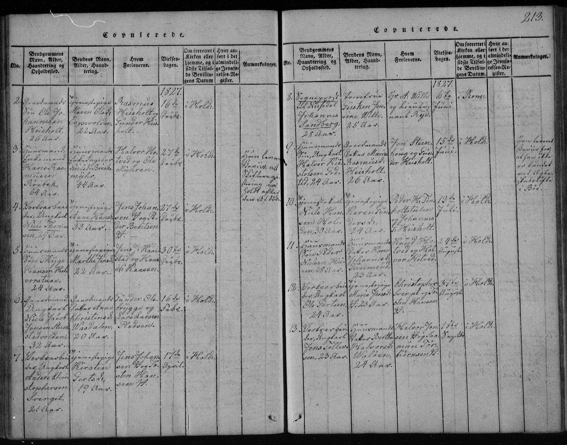 Holla kirkebøker, SAKO/A-272/F/Fa/L0003: Parish register (official) no. 3, 1815-1830, p. 213