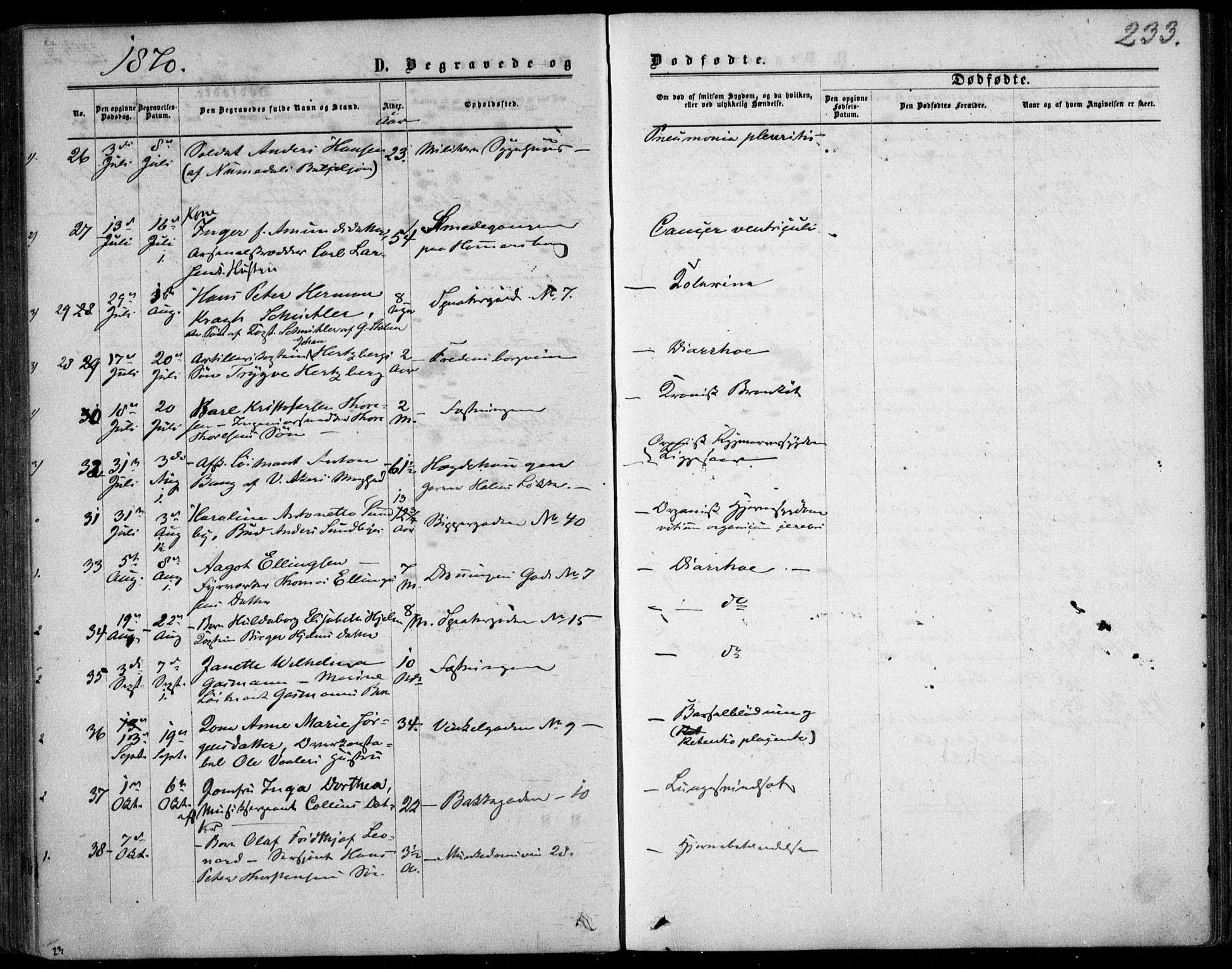 Garnisonsmenigheten Kirkebøker, AV/SAO-A-10846/F/Fa/L0011: Parish register (official) no. 11, 1870-1880, p. 233