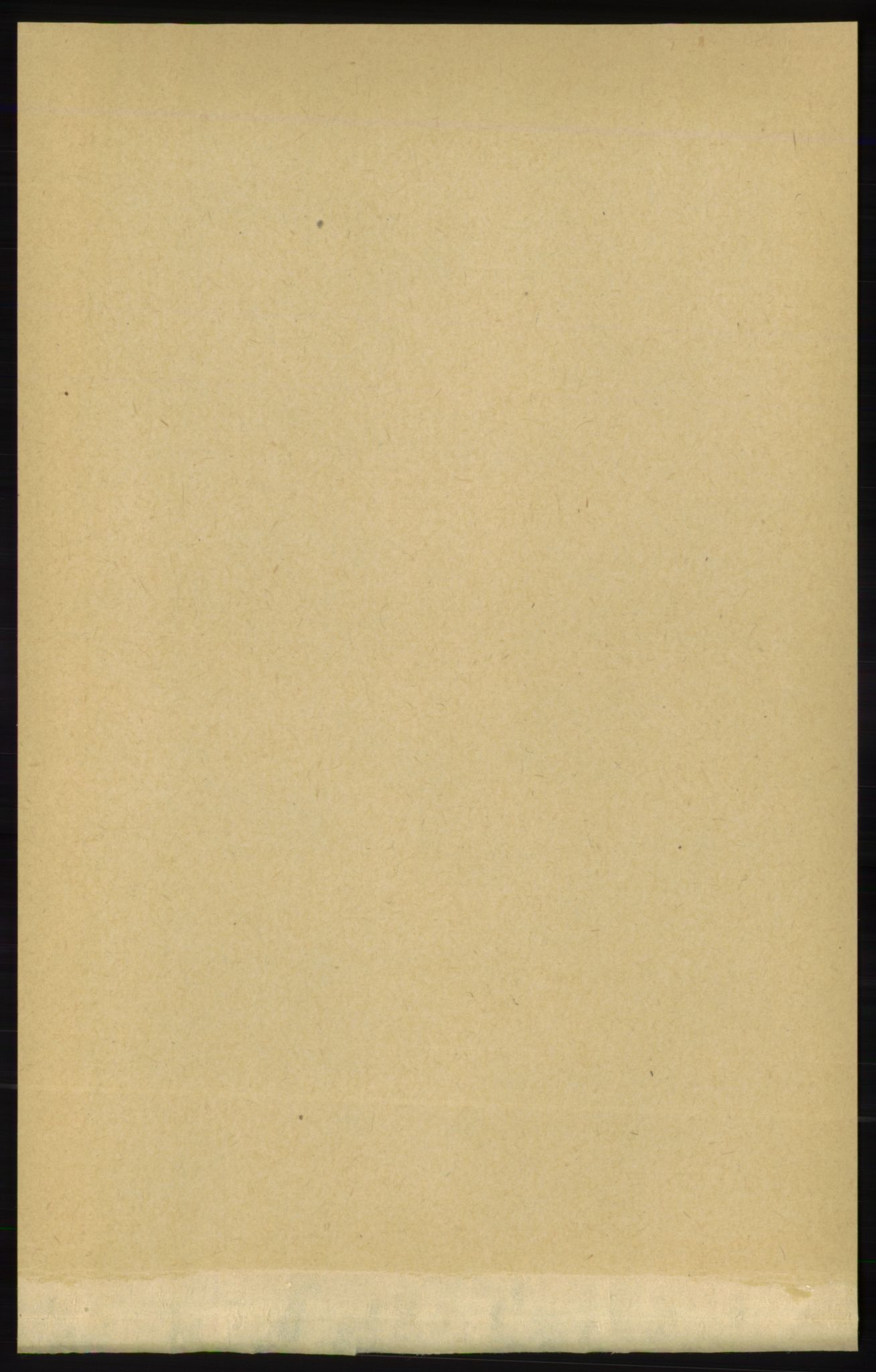 RA, 1891 census for 1154 Skjold, 1891, p. 2565