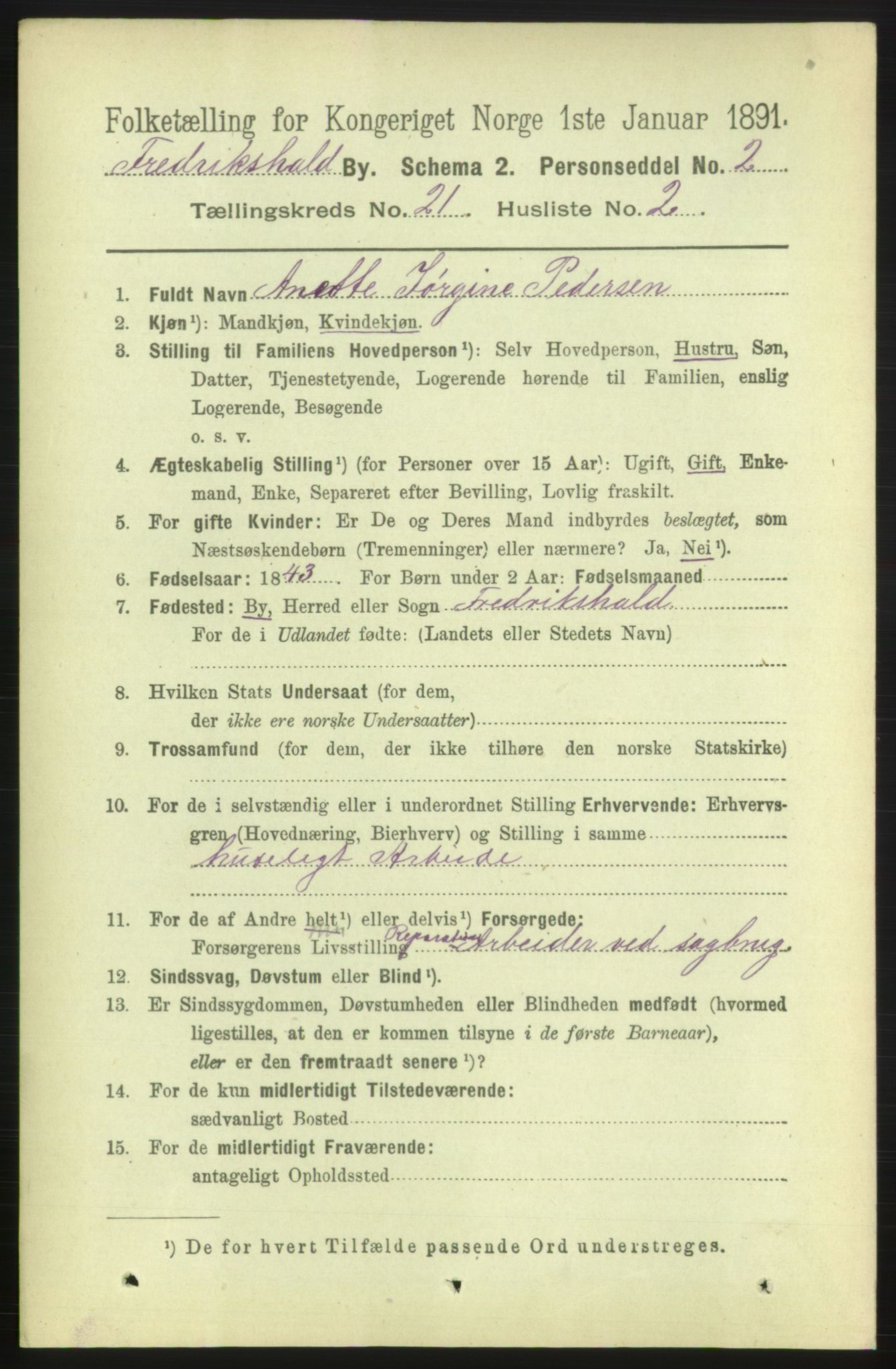 RA, 1891 census for 0101 Fredrikshald, 1891, p. 13080