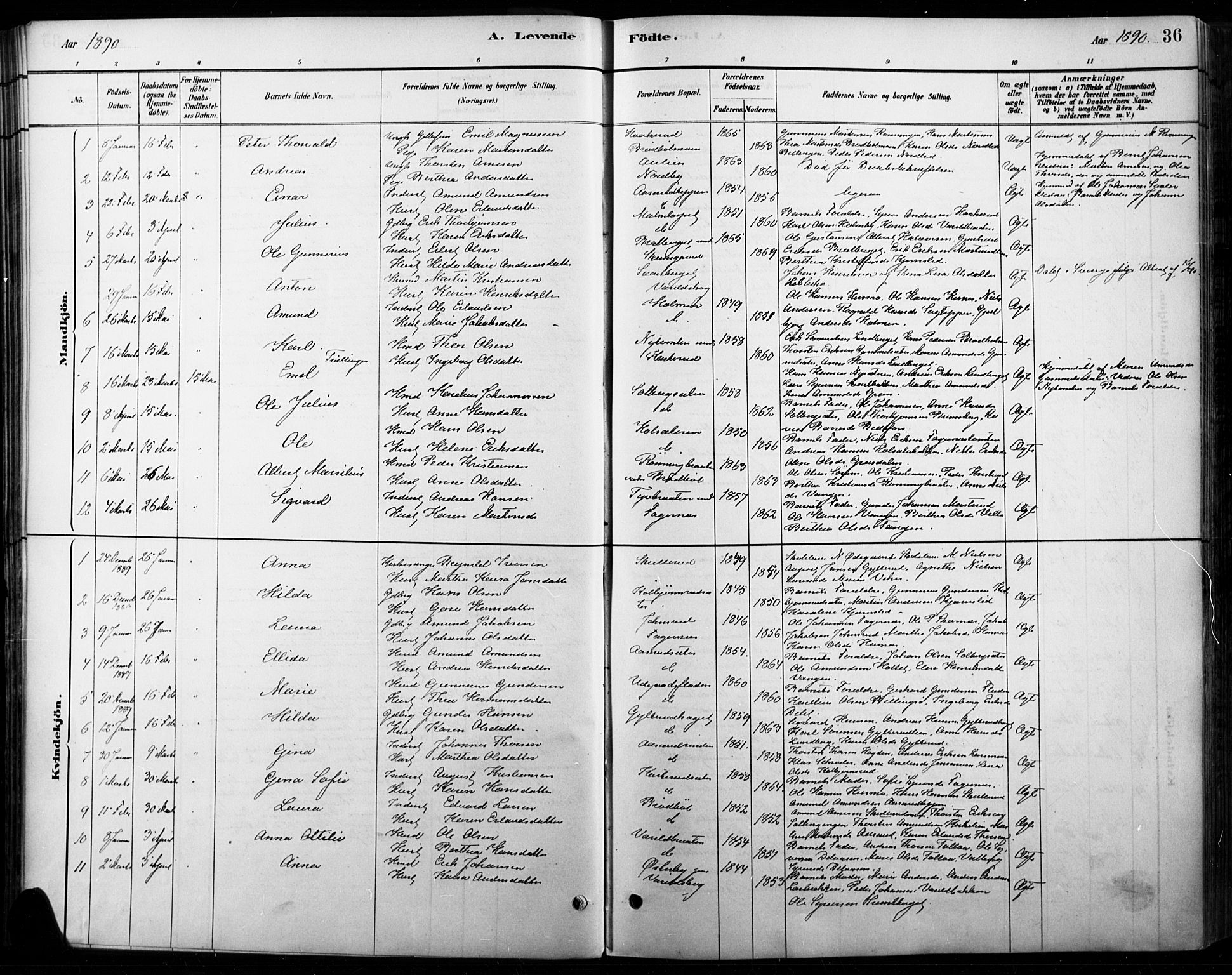 Vinger prestekontor, AV/SAH-PREST-024/H/Ha/Haa/L0015: Parish register (official) no. 15, 1881-1900, p. 36