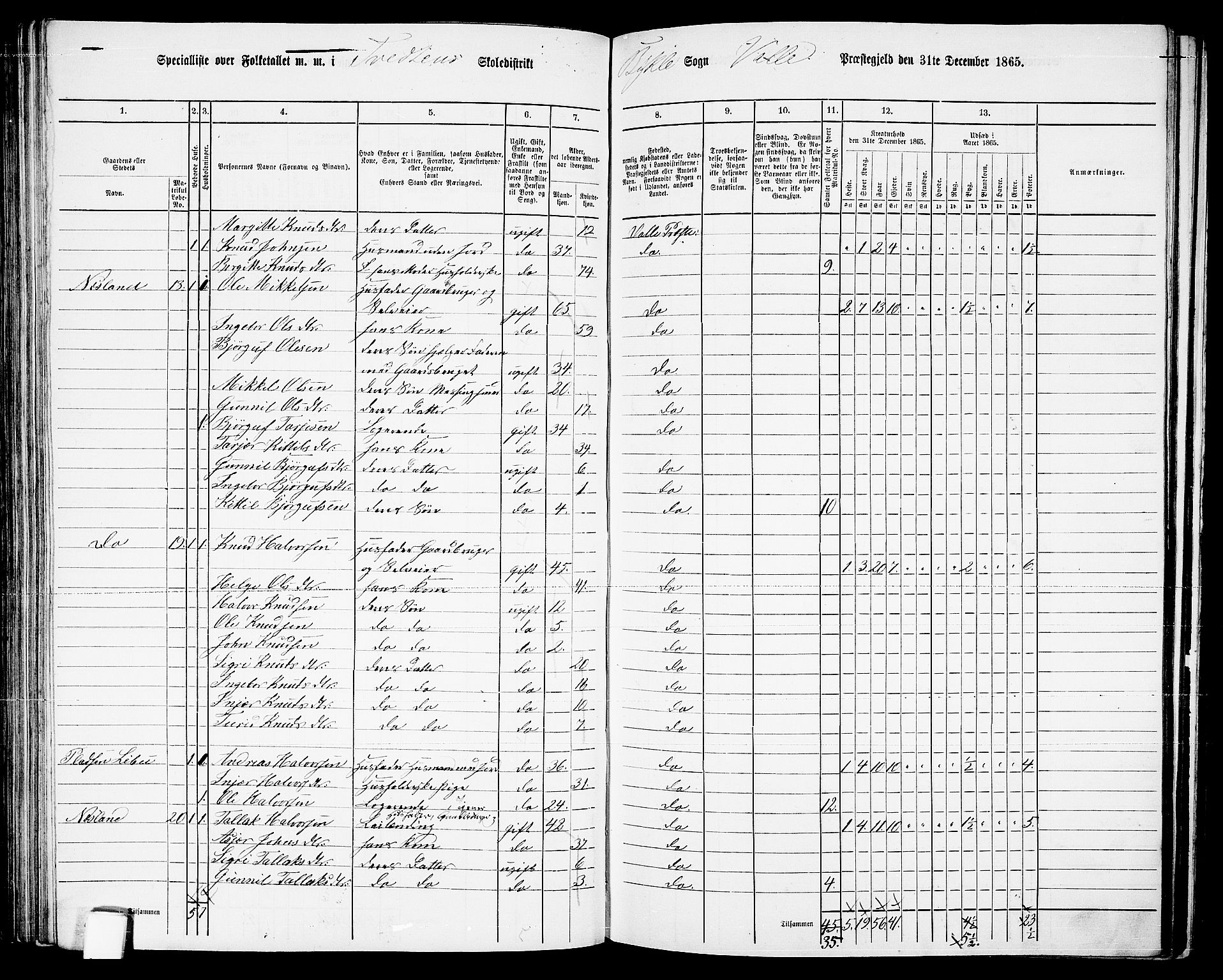 RA, 1865 census for Valle, 1865, p. 94