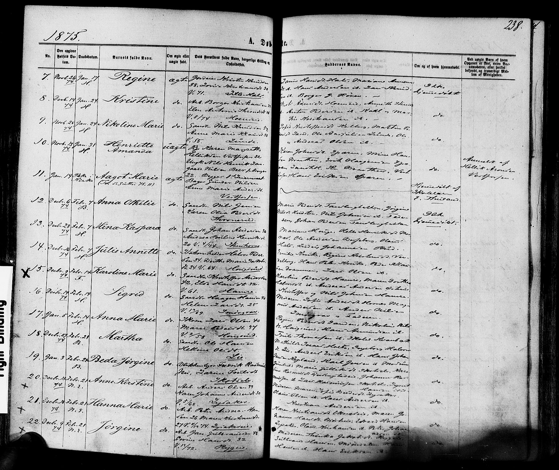 Eiker kirkebøker, SAKO/A-4/F/Fa/L0017: Parish register (official) no. I 17, 1869-1877, p. 238